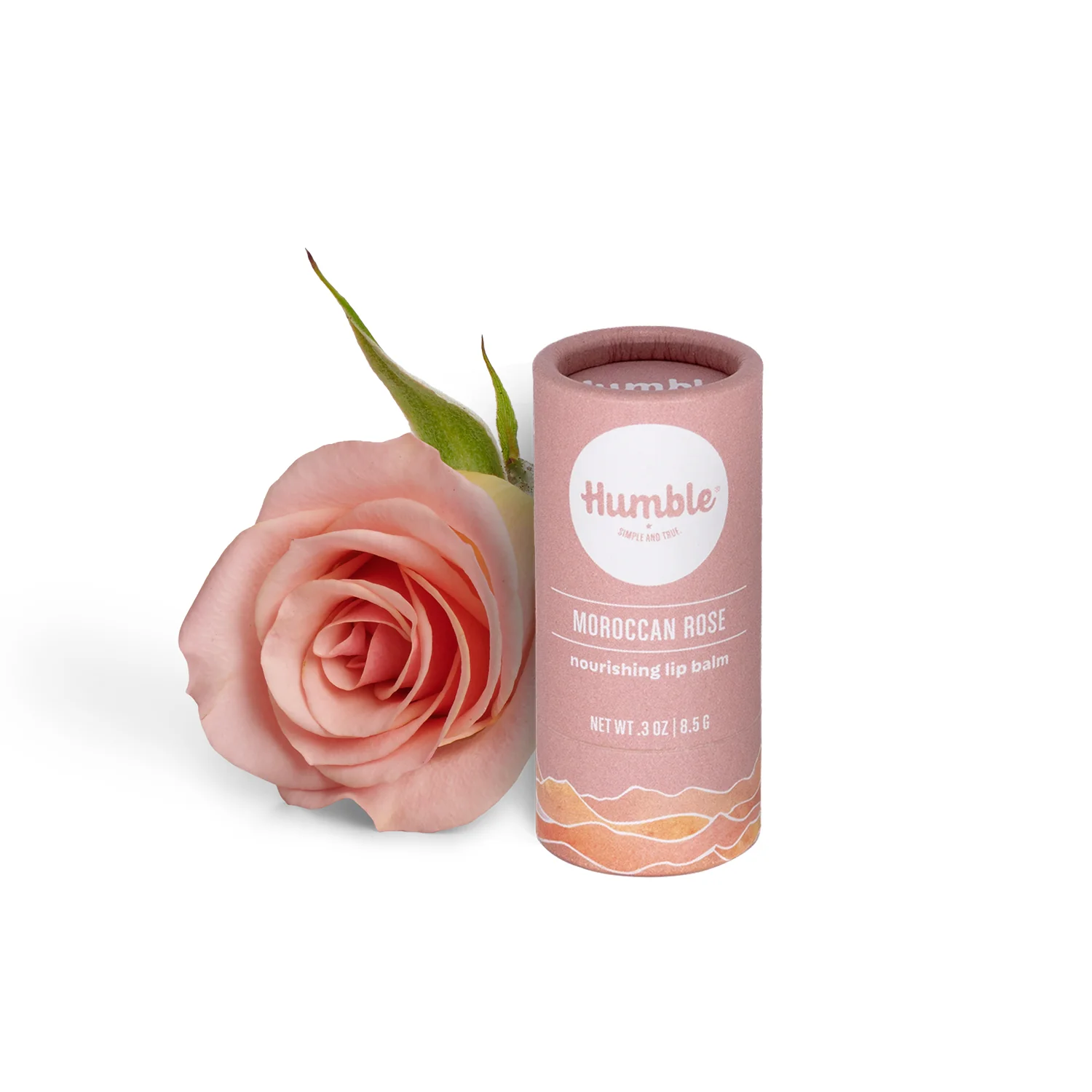 Lip Balm - Paperboard - Image 2