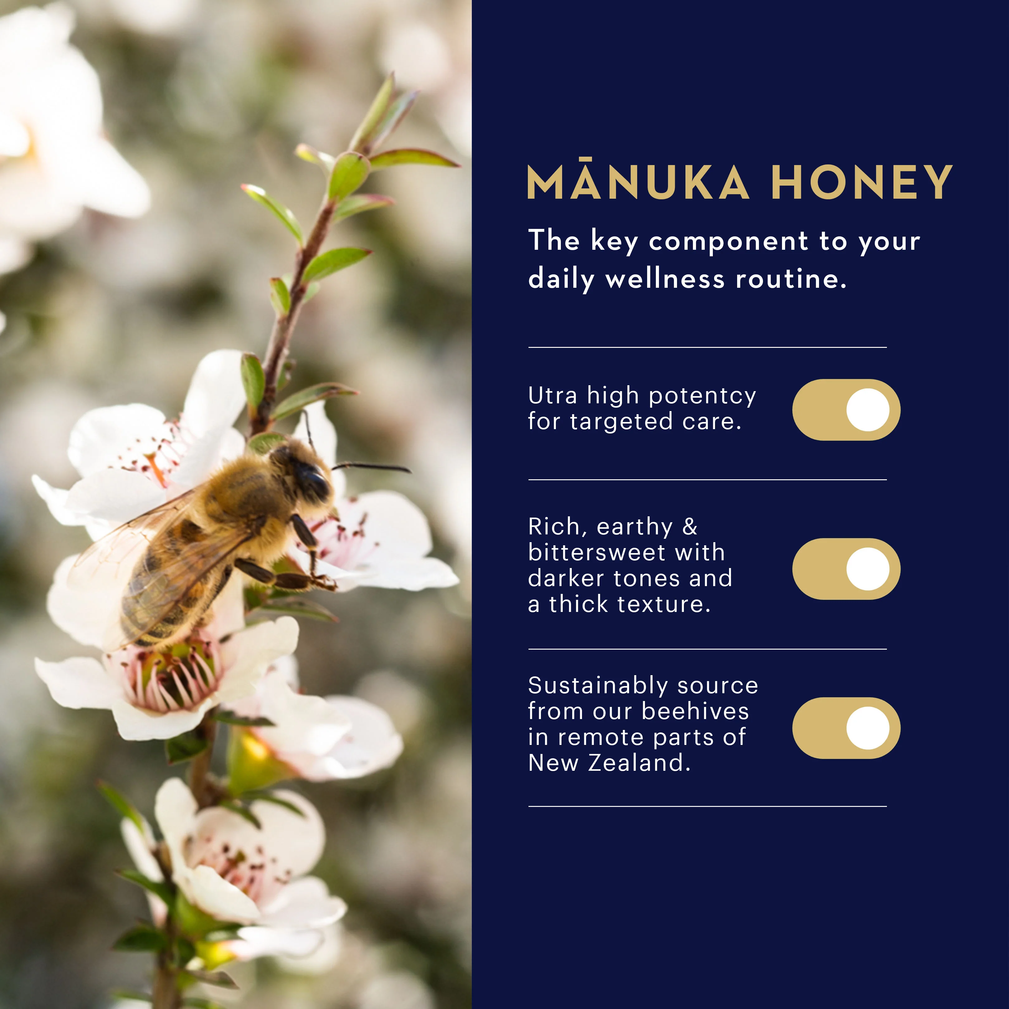 Manuka Honey Lozenges - Image 6