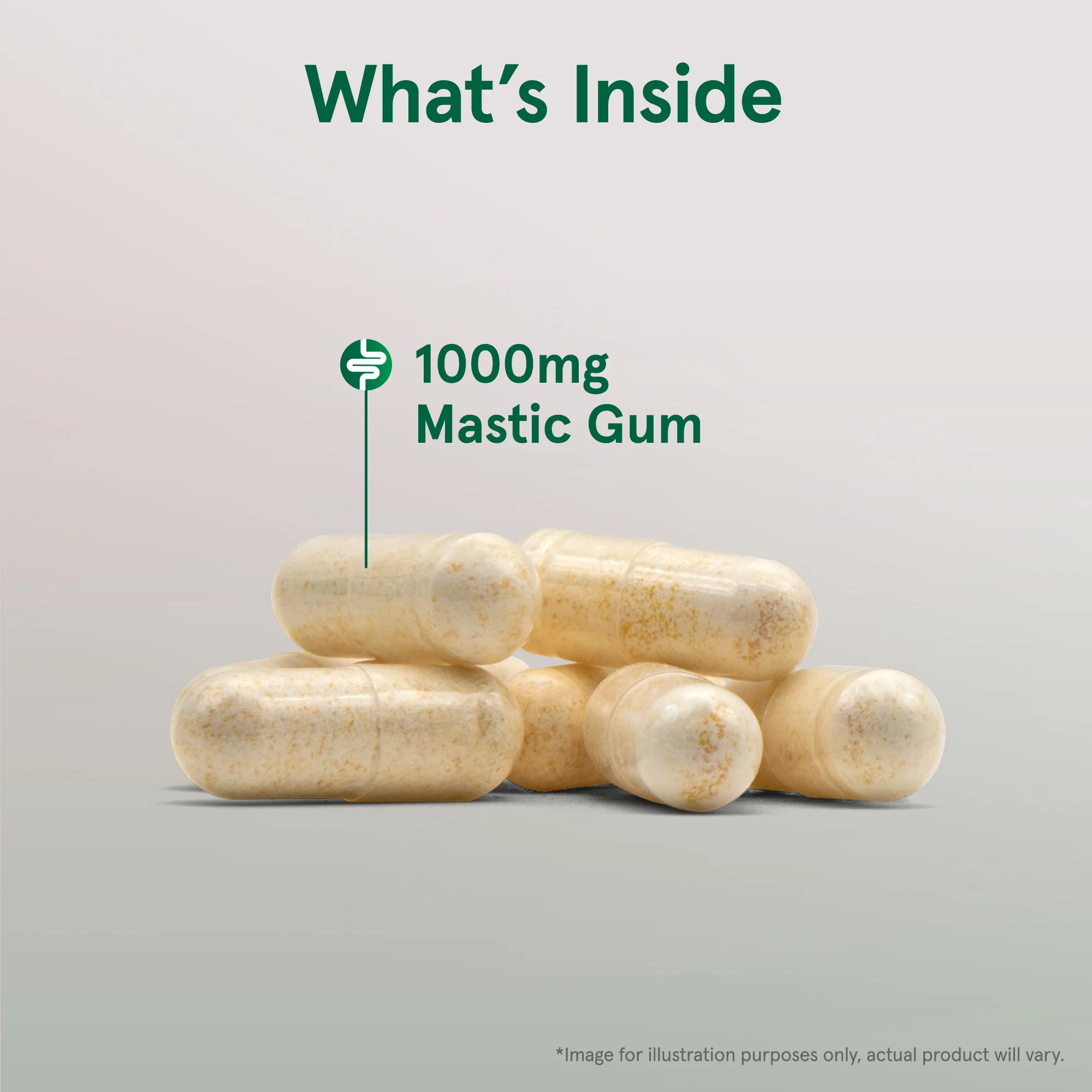 Mastic Gum - Image 5