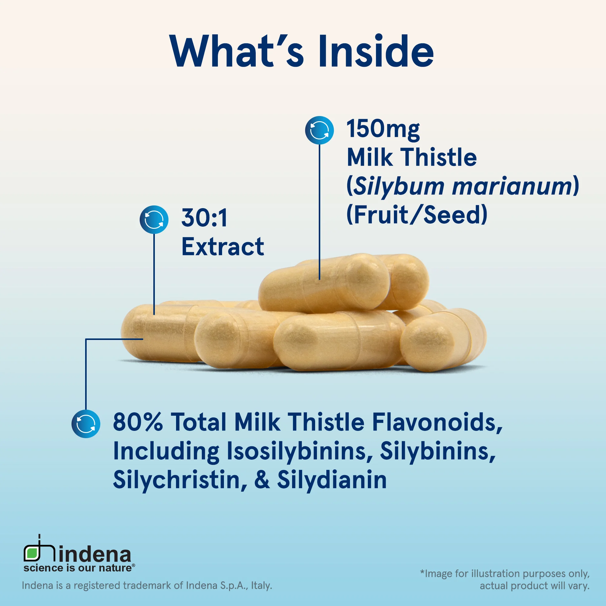 Milk Thistle - Image 5
