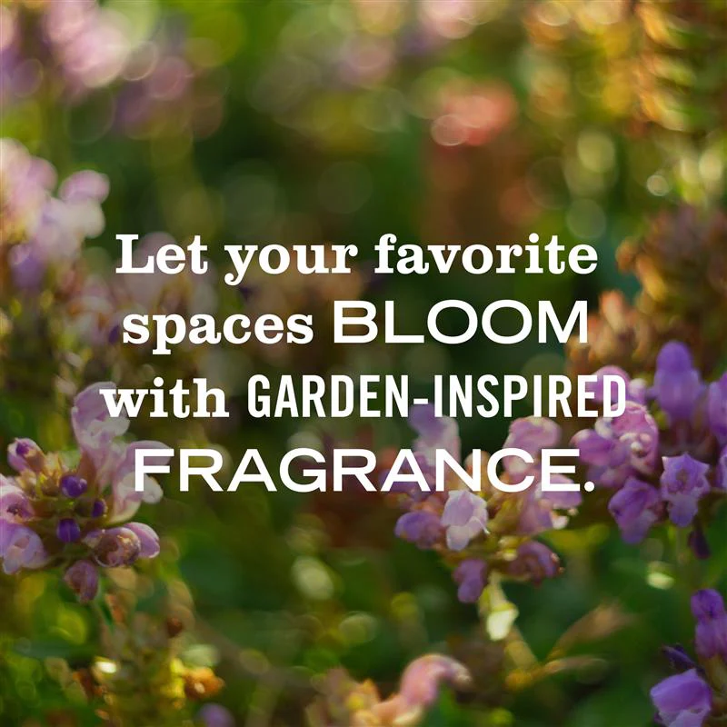 Scented Oil Refills Pack - Image 10