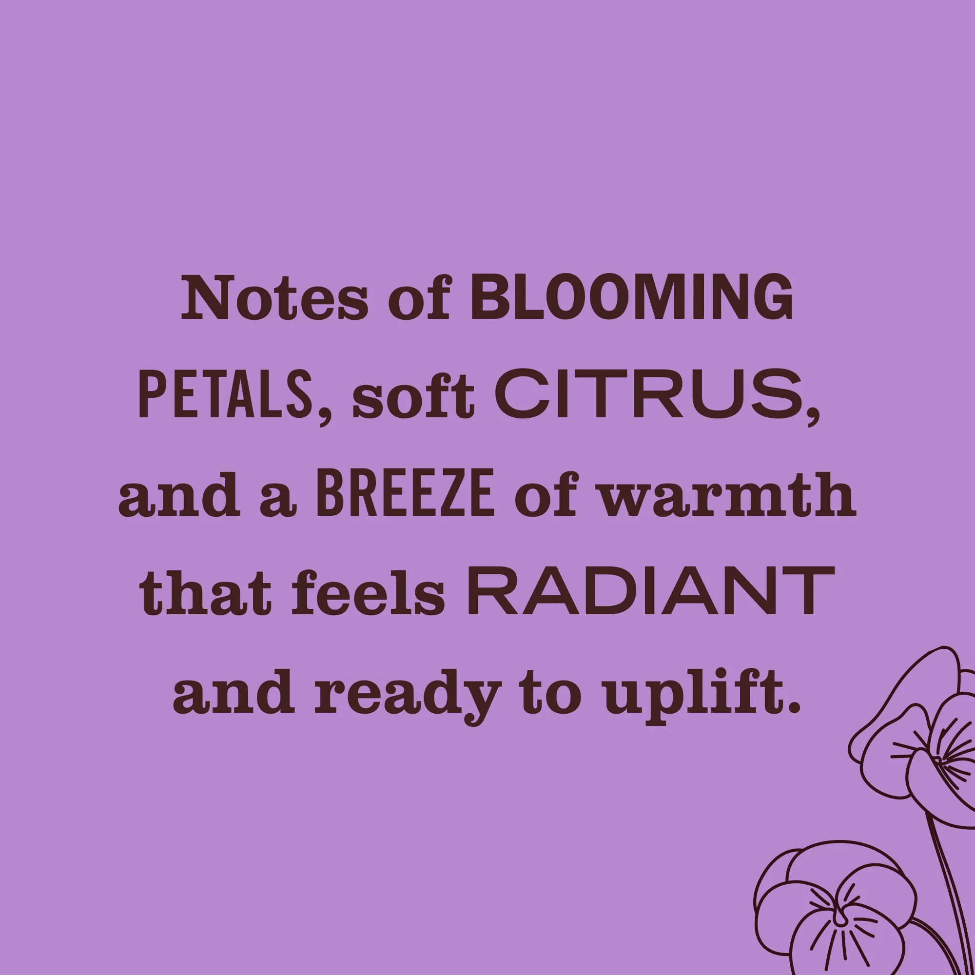 Scented Oil Refills Pack - Image 24
