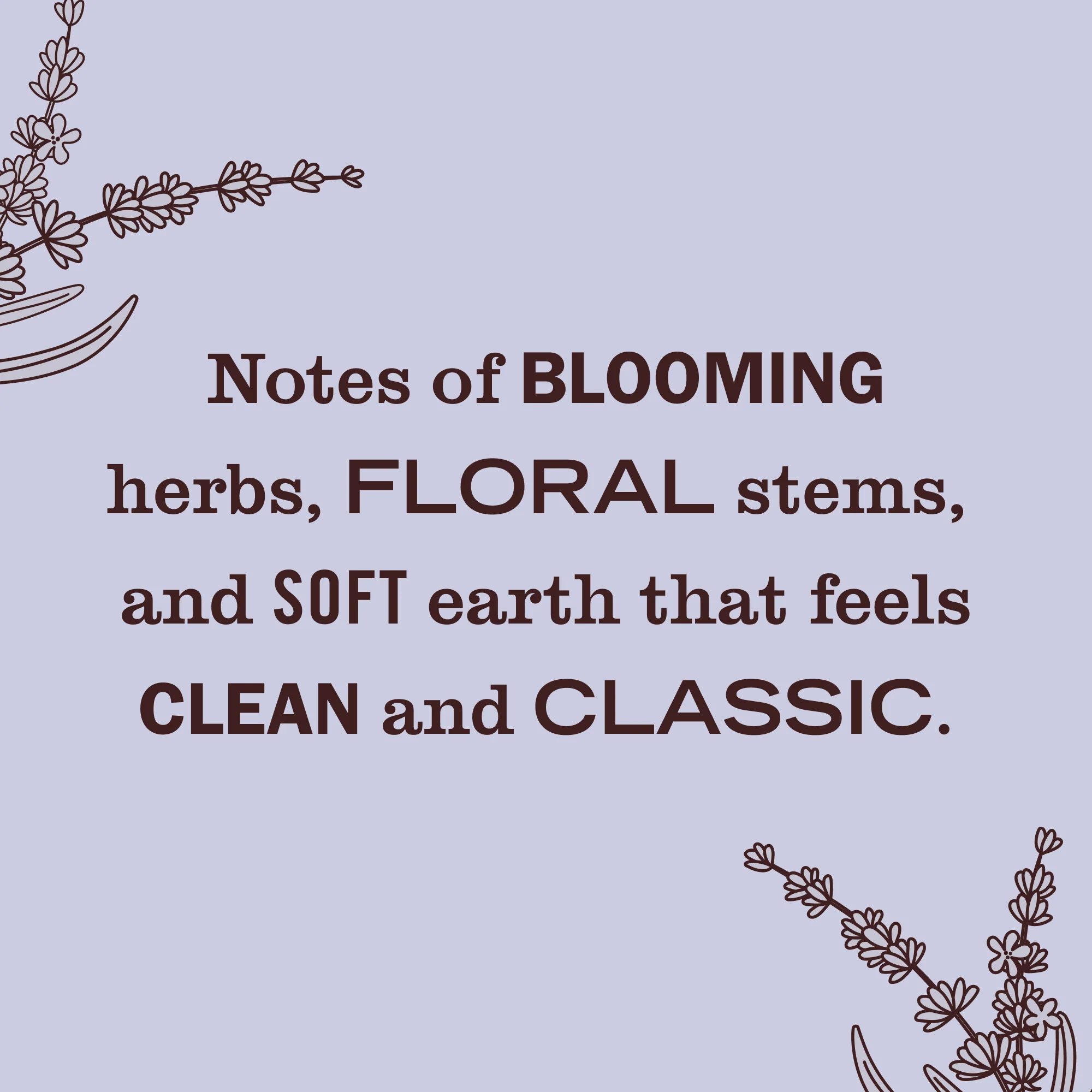 Scented Oil Refills Pack - Image 33