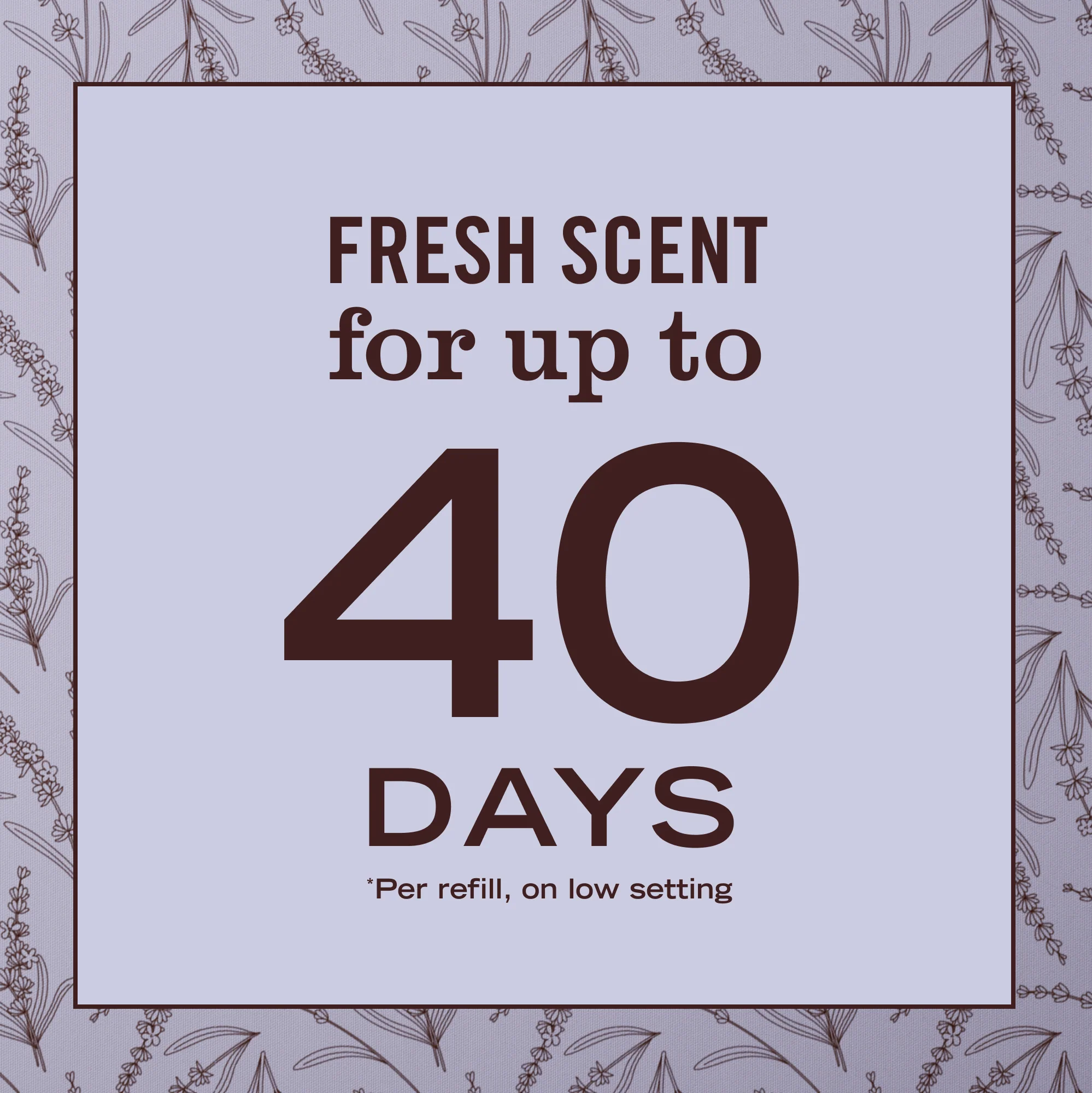 Scented Oil Refills Pack - Image 36