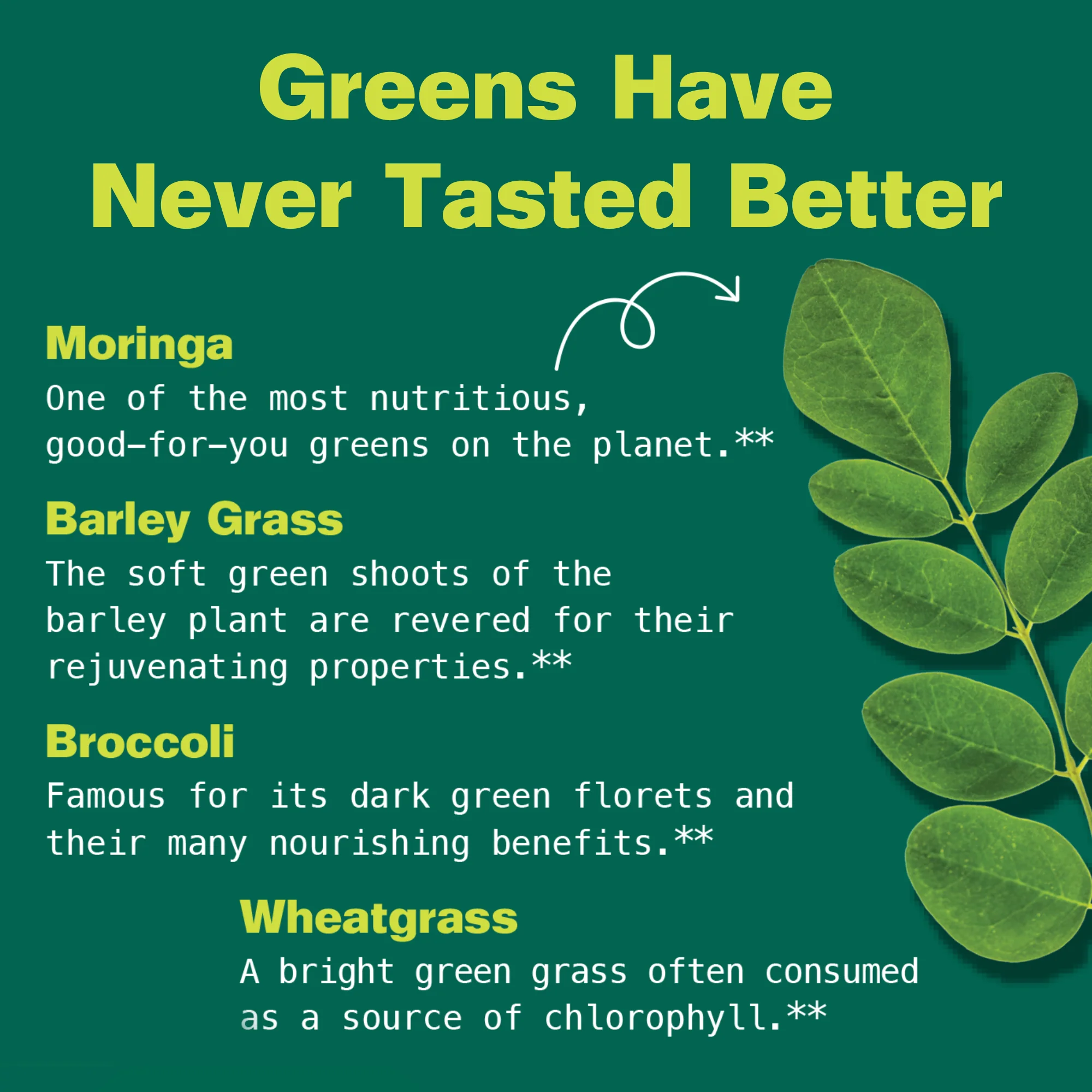 Moringa and Super Greens SuperGummies - Image 7