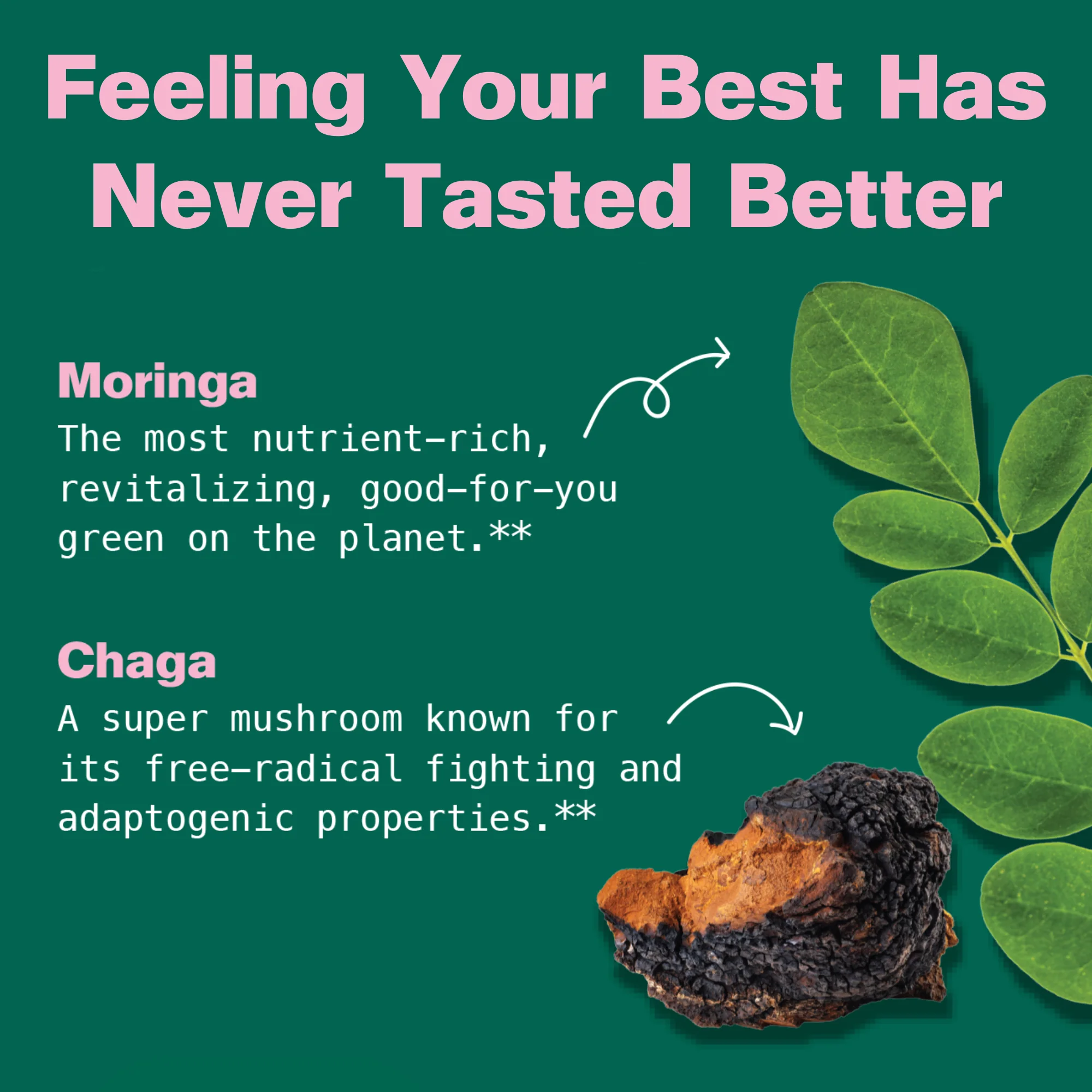 Moringa & Chaga Mushroom SuperGummies - Image 6
