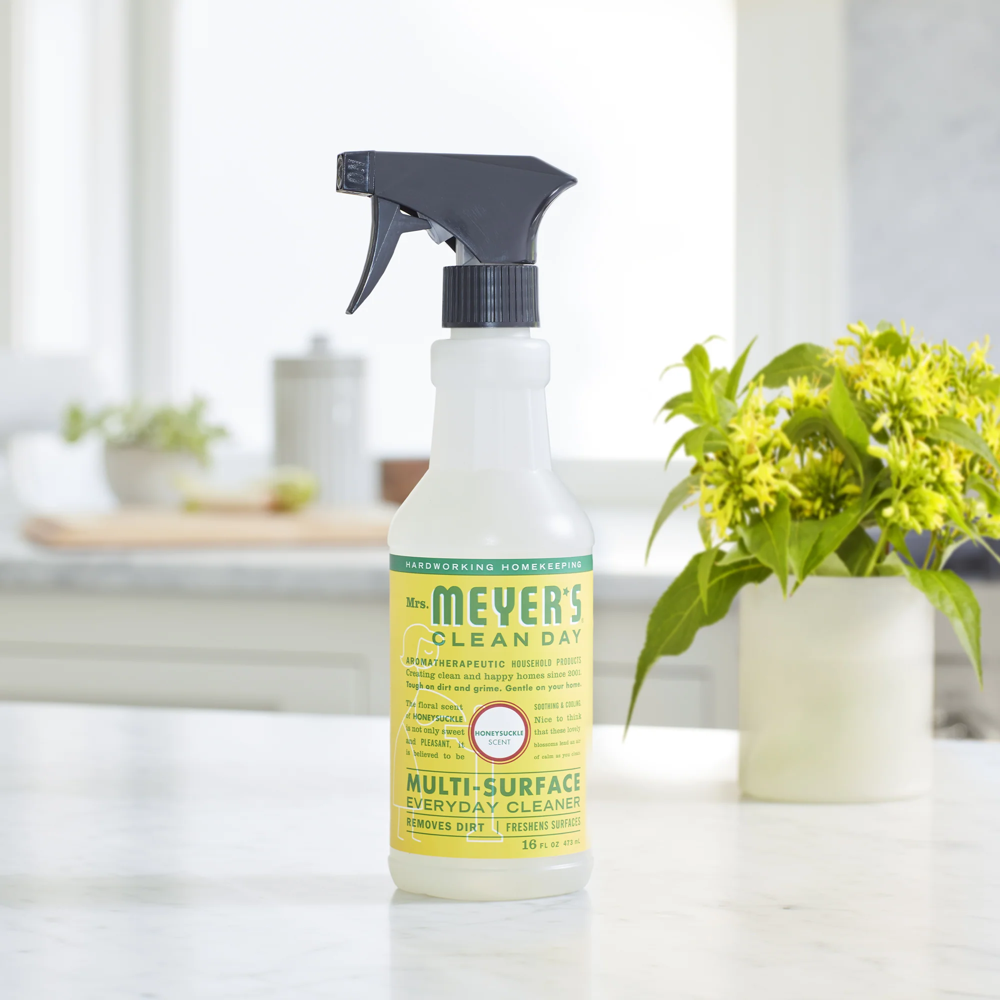 Multi-Surface Cleaner - Image 39