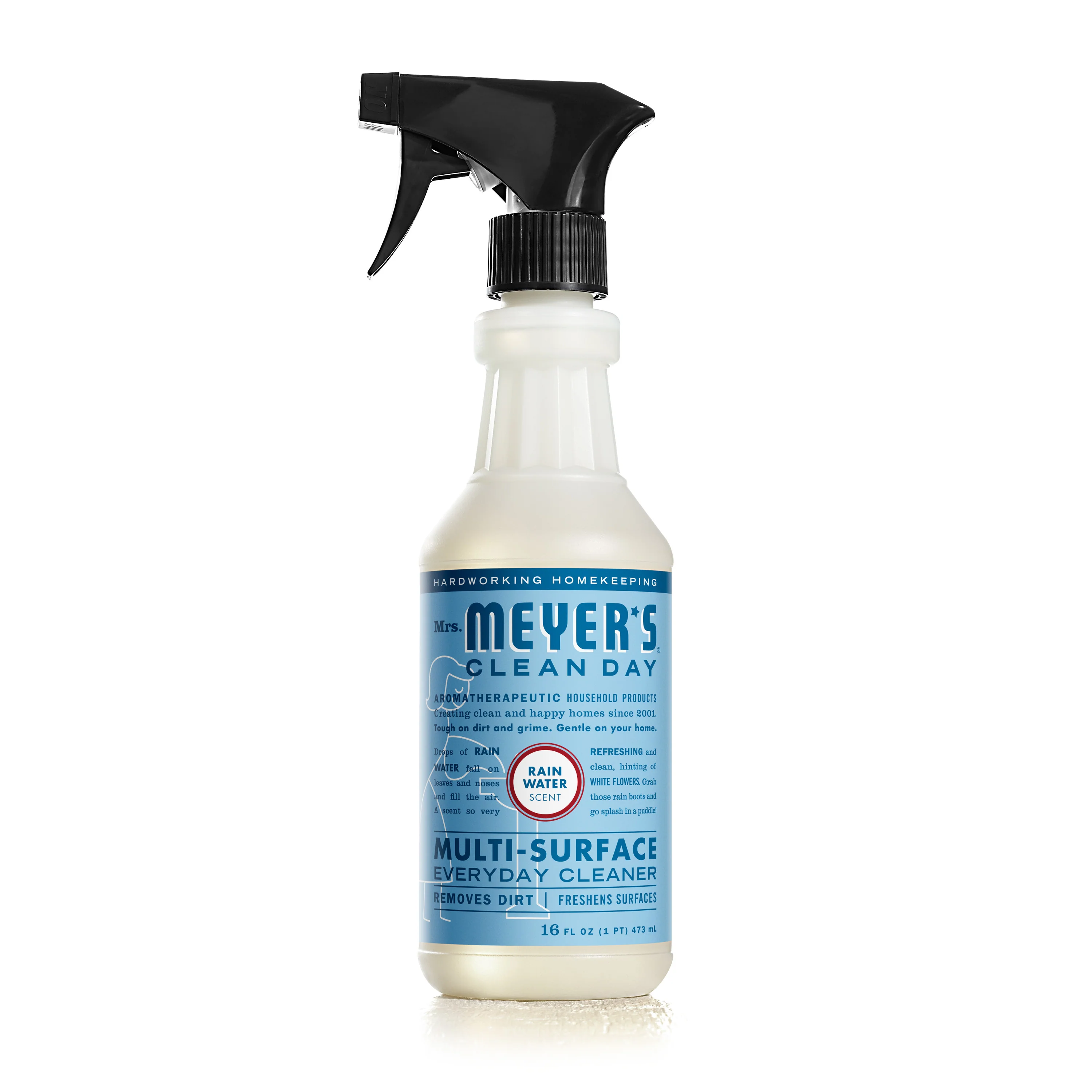 Multi-Surface Cleaner - Image 40