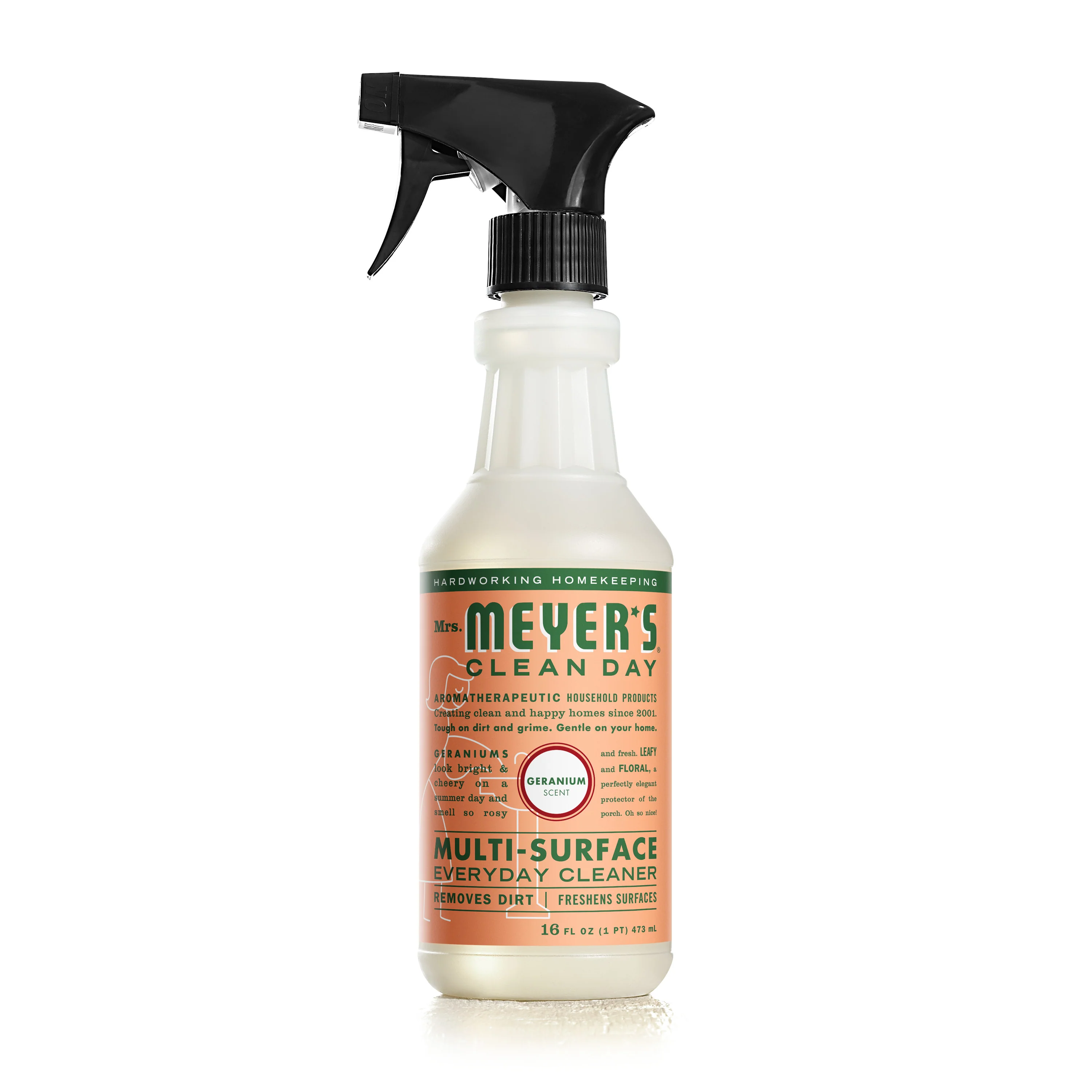 Multi-Surface Cleaner - Image 49