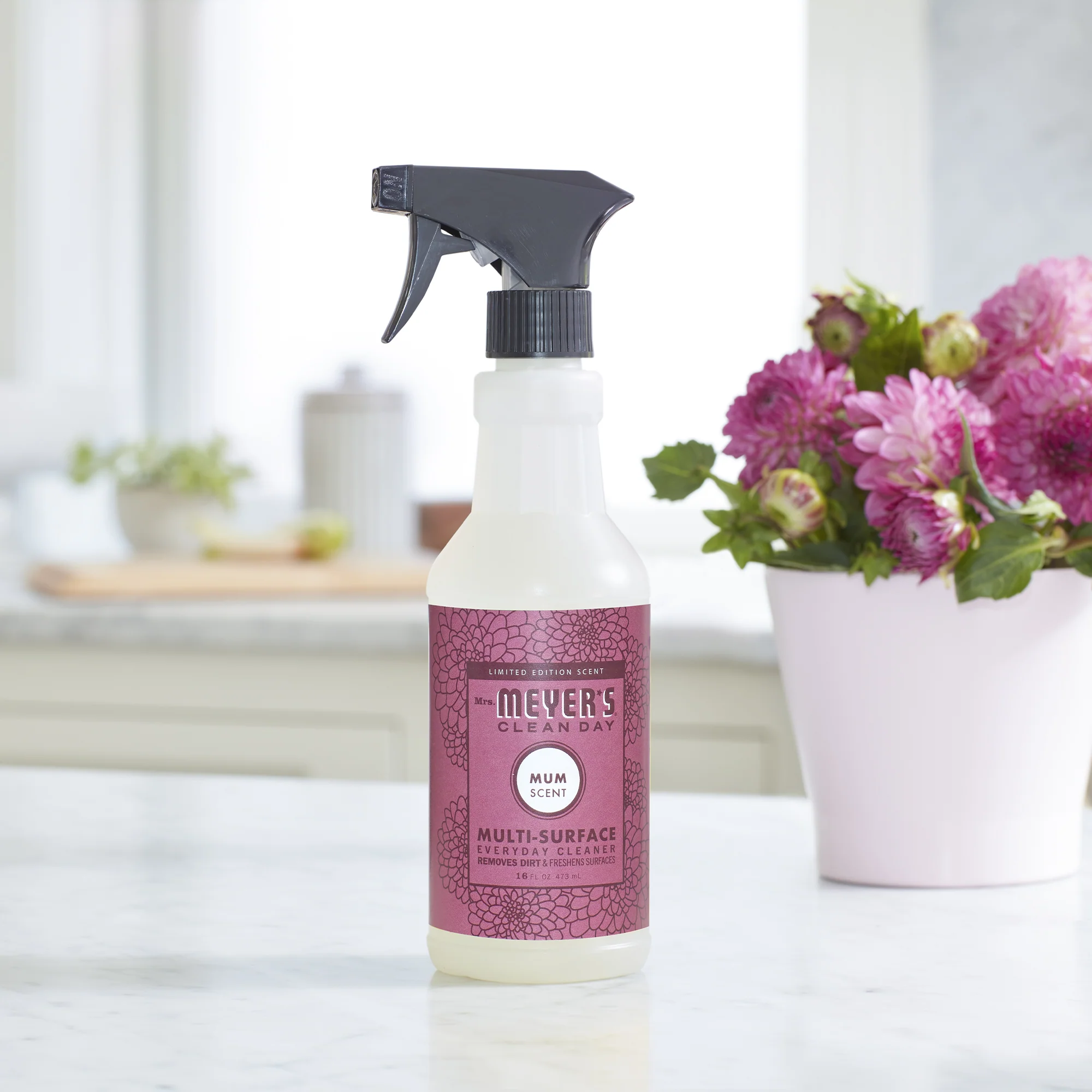 Multi-Surface Cleaner - Image 98