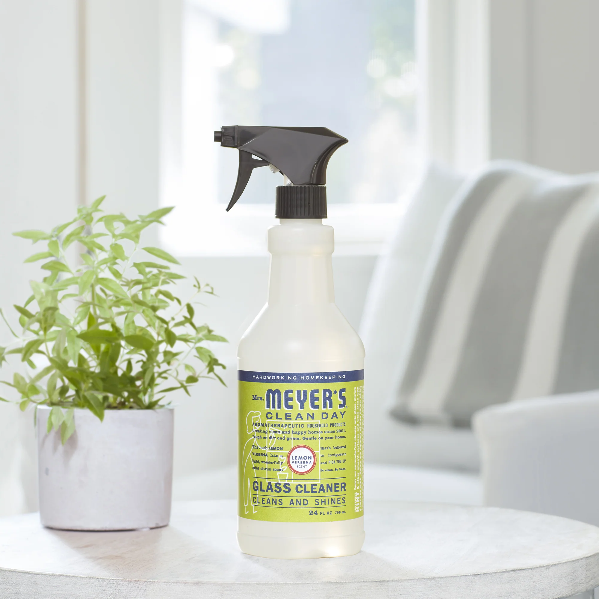 Glass Cleaner - Image 4