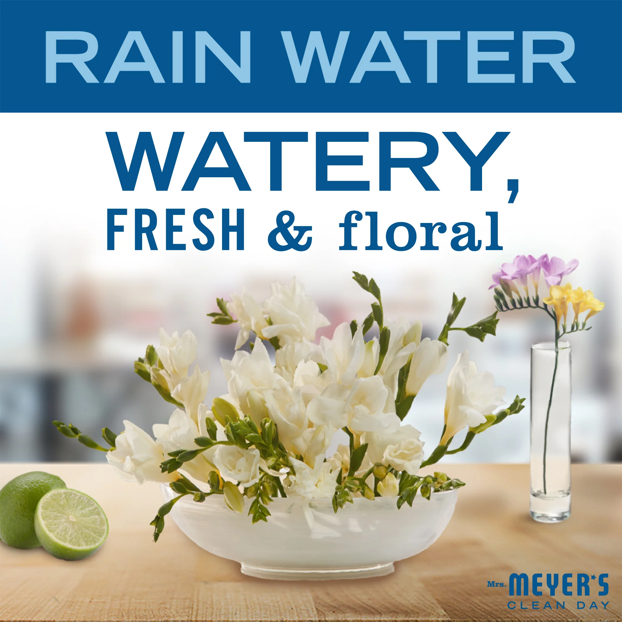 Room Freshener - Image 69