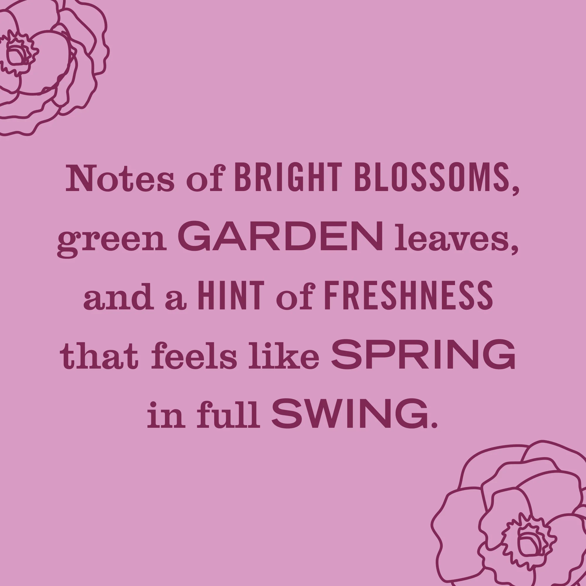 Scented Oil Refills - Image 24