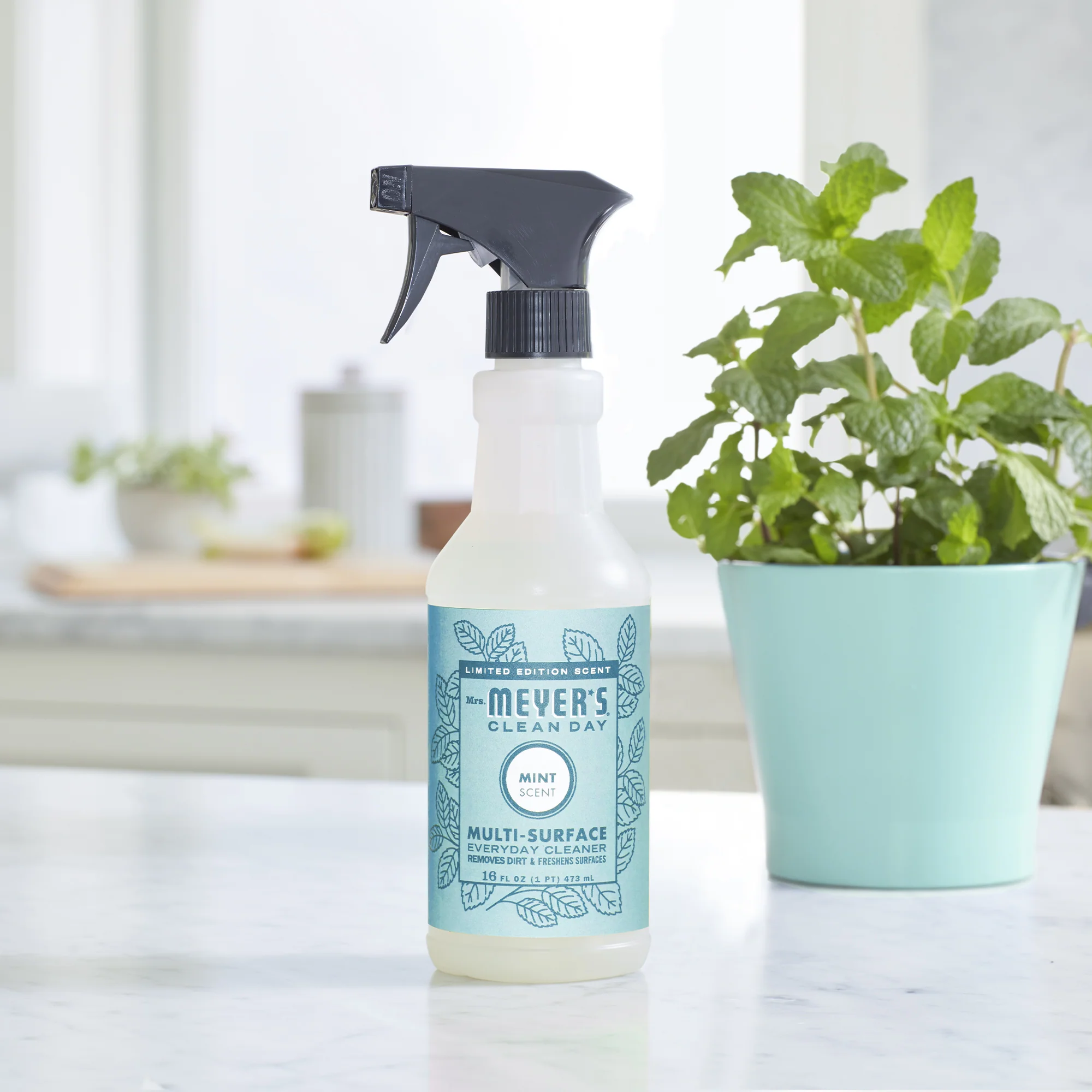 Multi Surface Cleaner Spring Collection - Image 16