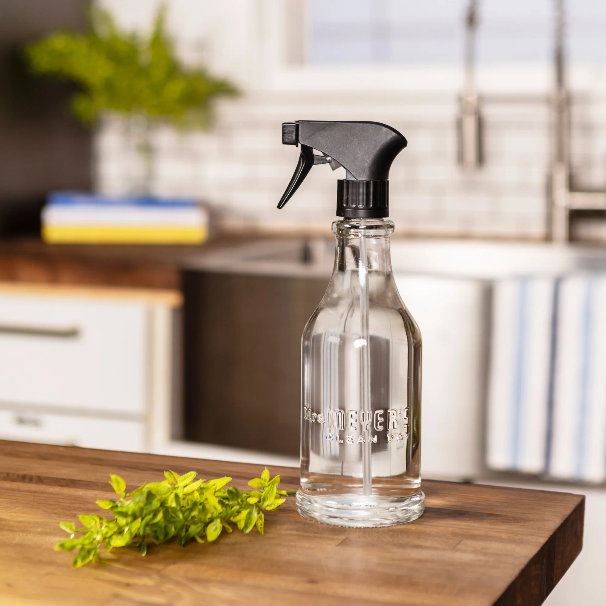 Multi-Surface Concentrate Refills - Image 7