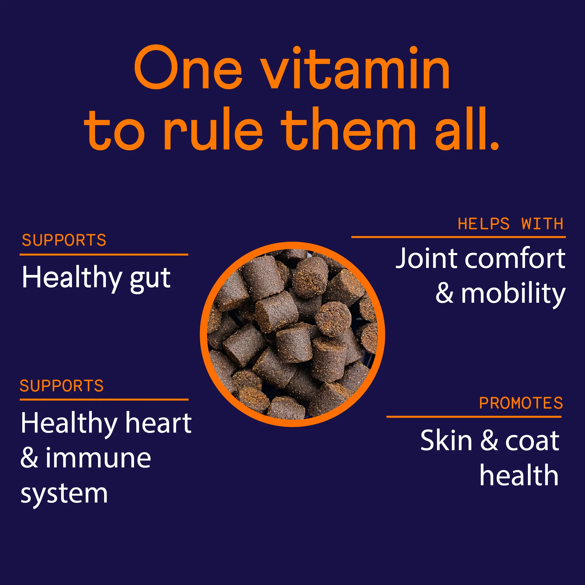 Multivitamin Supplement for Dogs - Image 7