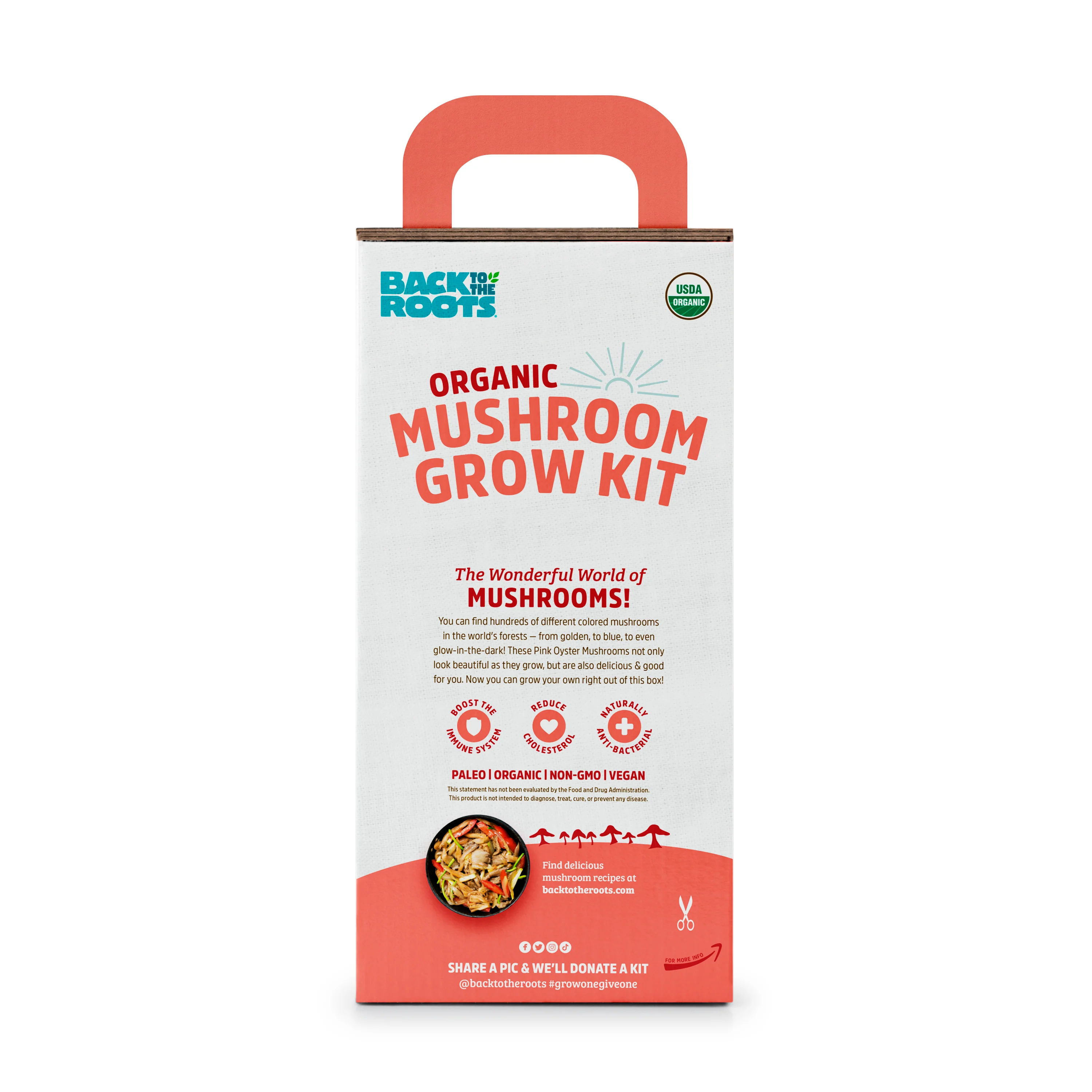 Organic Mushroom Grow Kit - Pink Oyster - Image 3