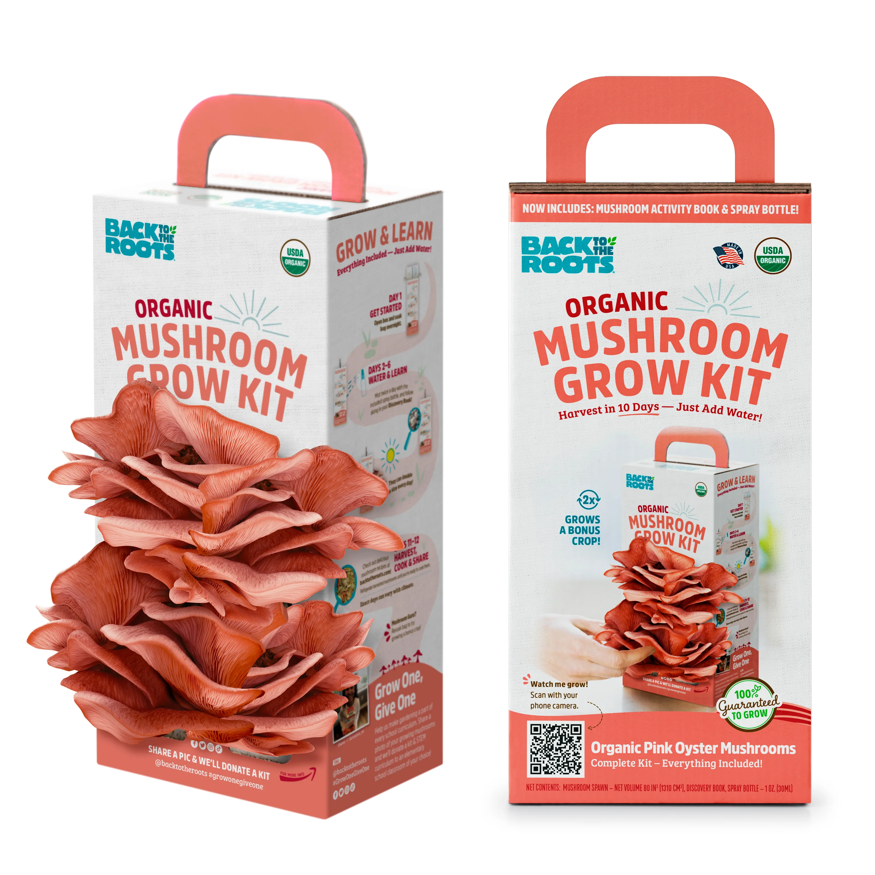 Organic Mushroom Grow Kit - Pink Oyster - Image 4