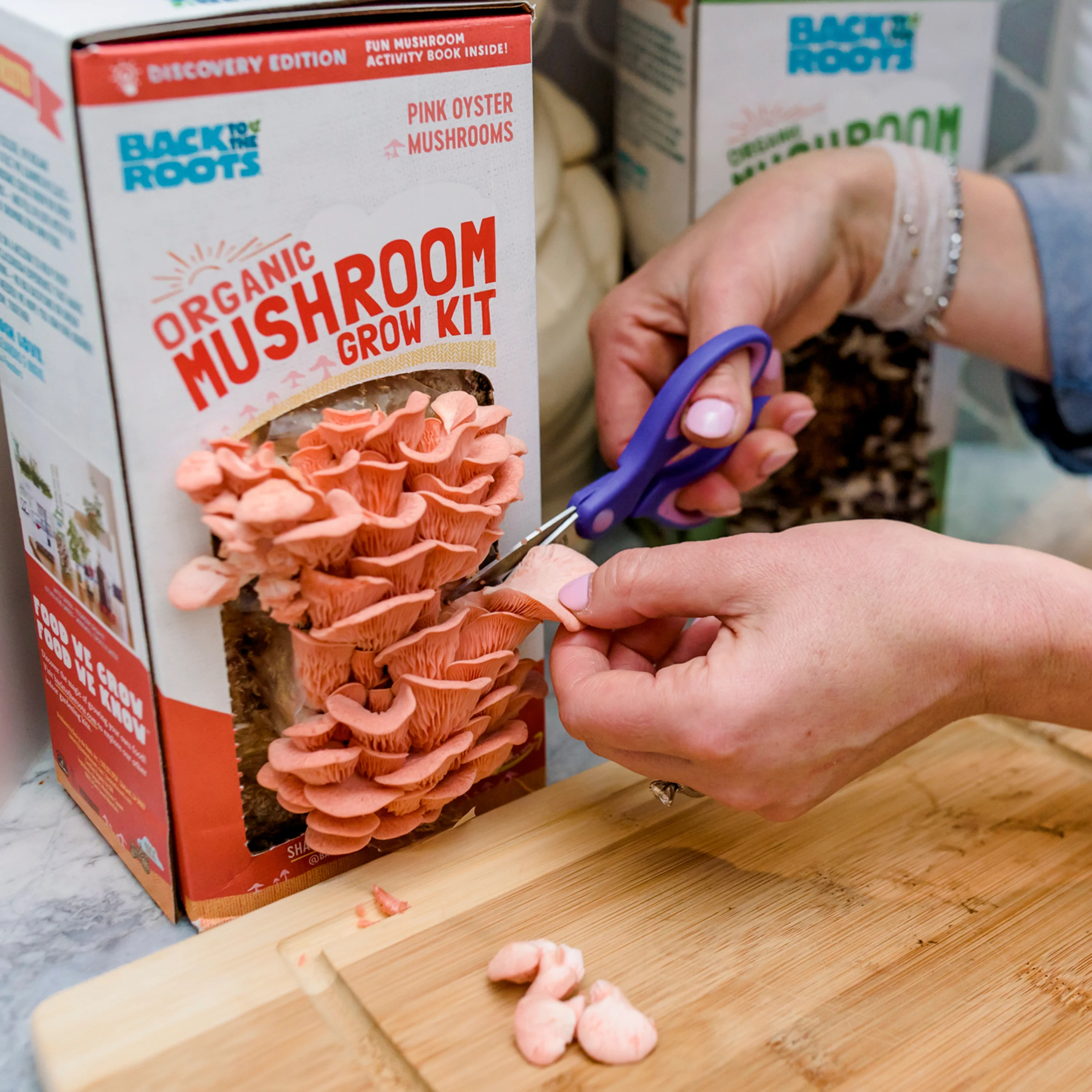 Organic Mushroom Grow Kit - Pink Oyster - Image 5