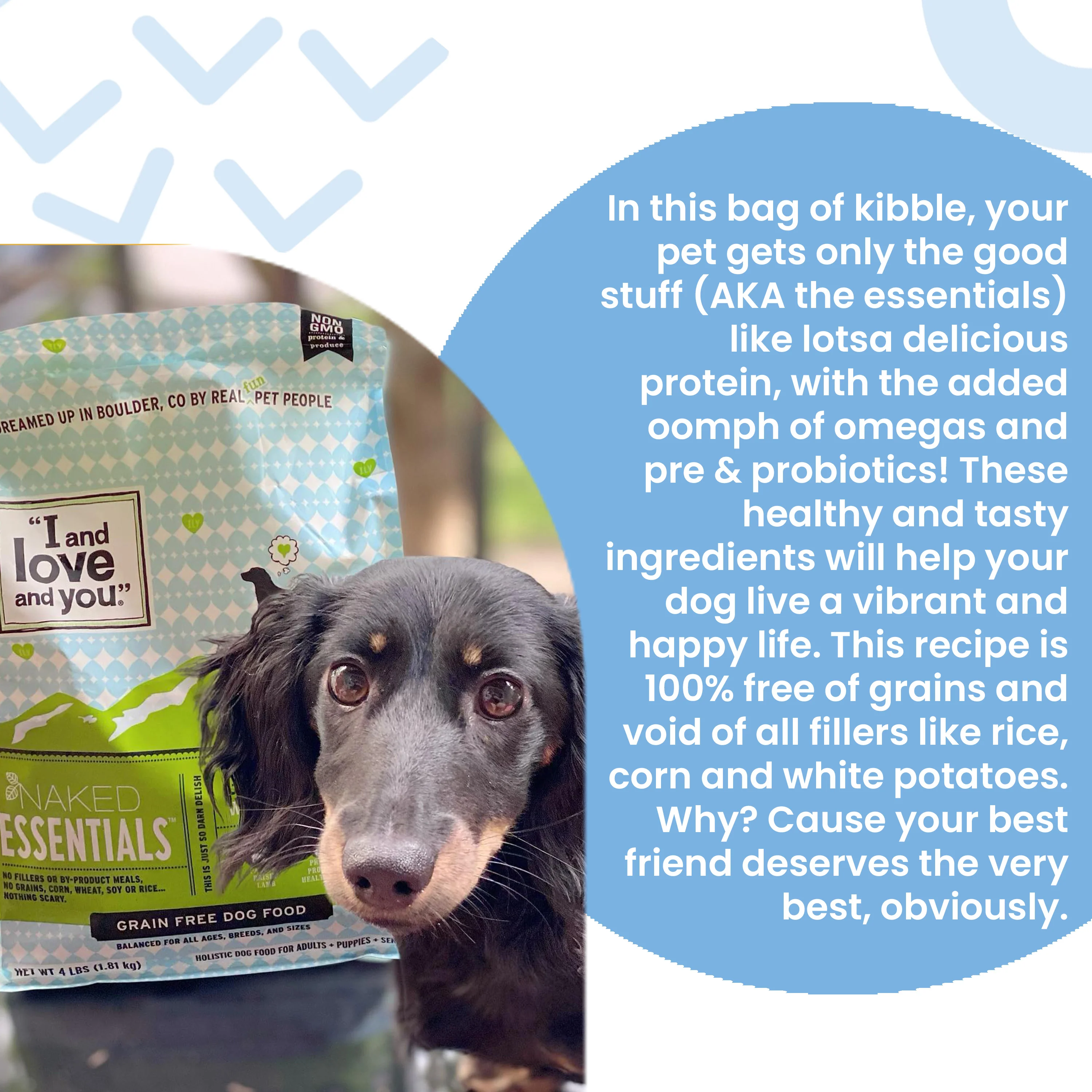 Naked Essentials Grain-Free Lamb and Bison Recipe Dry Dog Food - Image 3