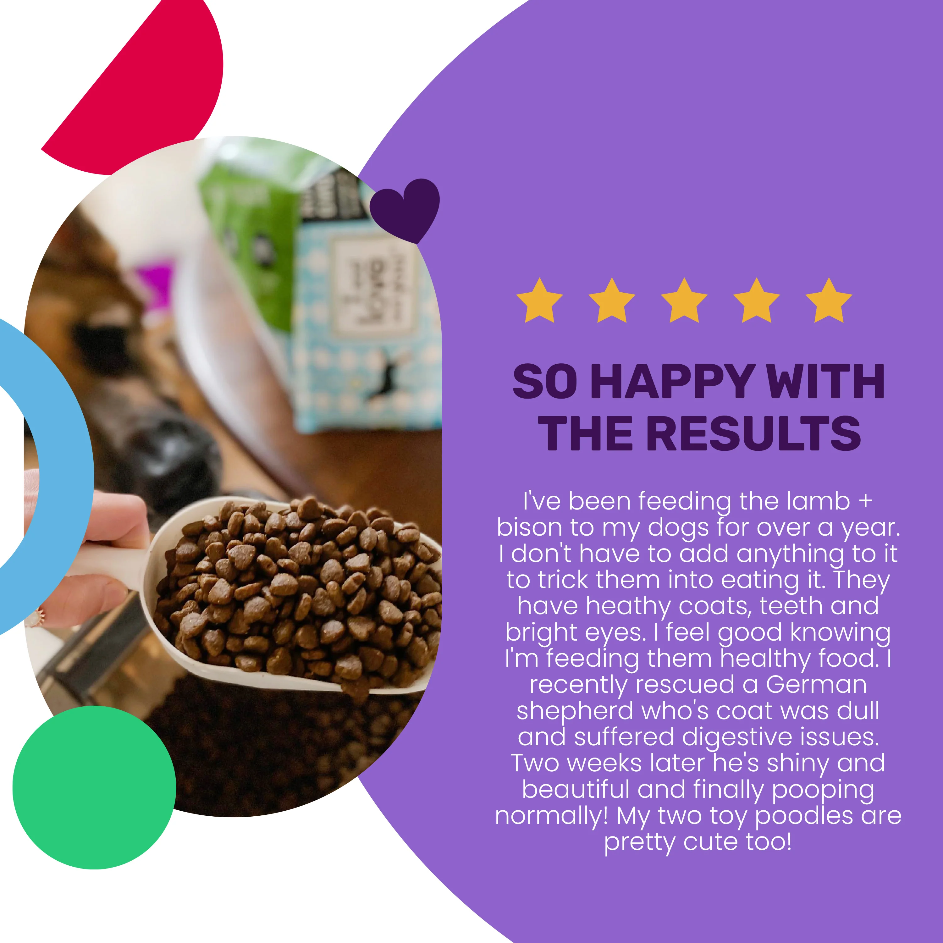 Naked Essentials Grain-Free Lamb and Bison Recipe Dry Dog Food - Image 4