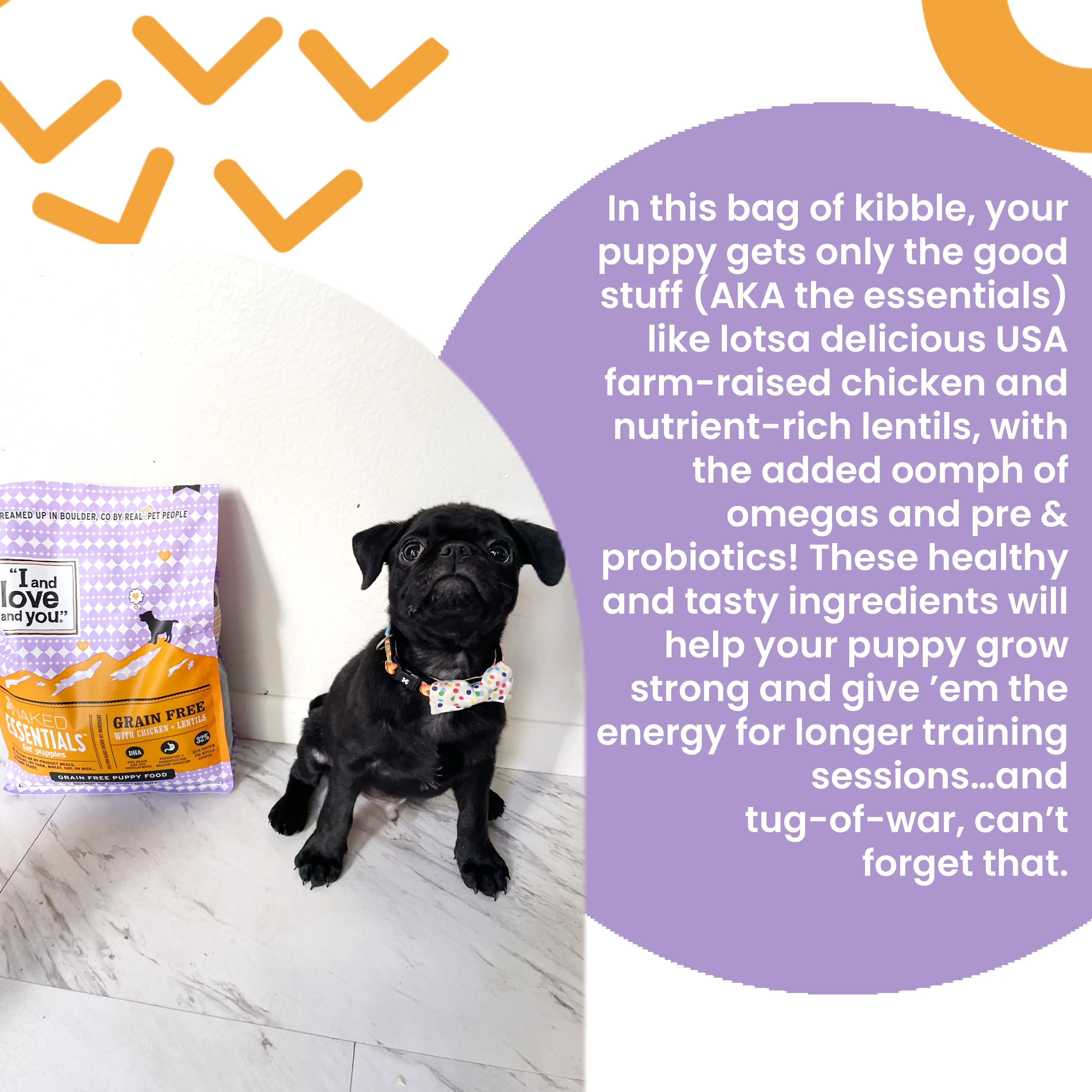 Naked Essentials Puppy Recipe Grain-Free Dry Puppy Food - Image 3