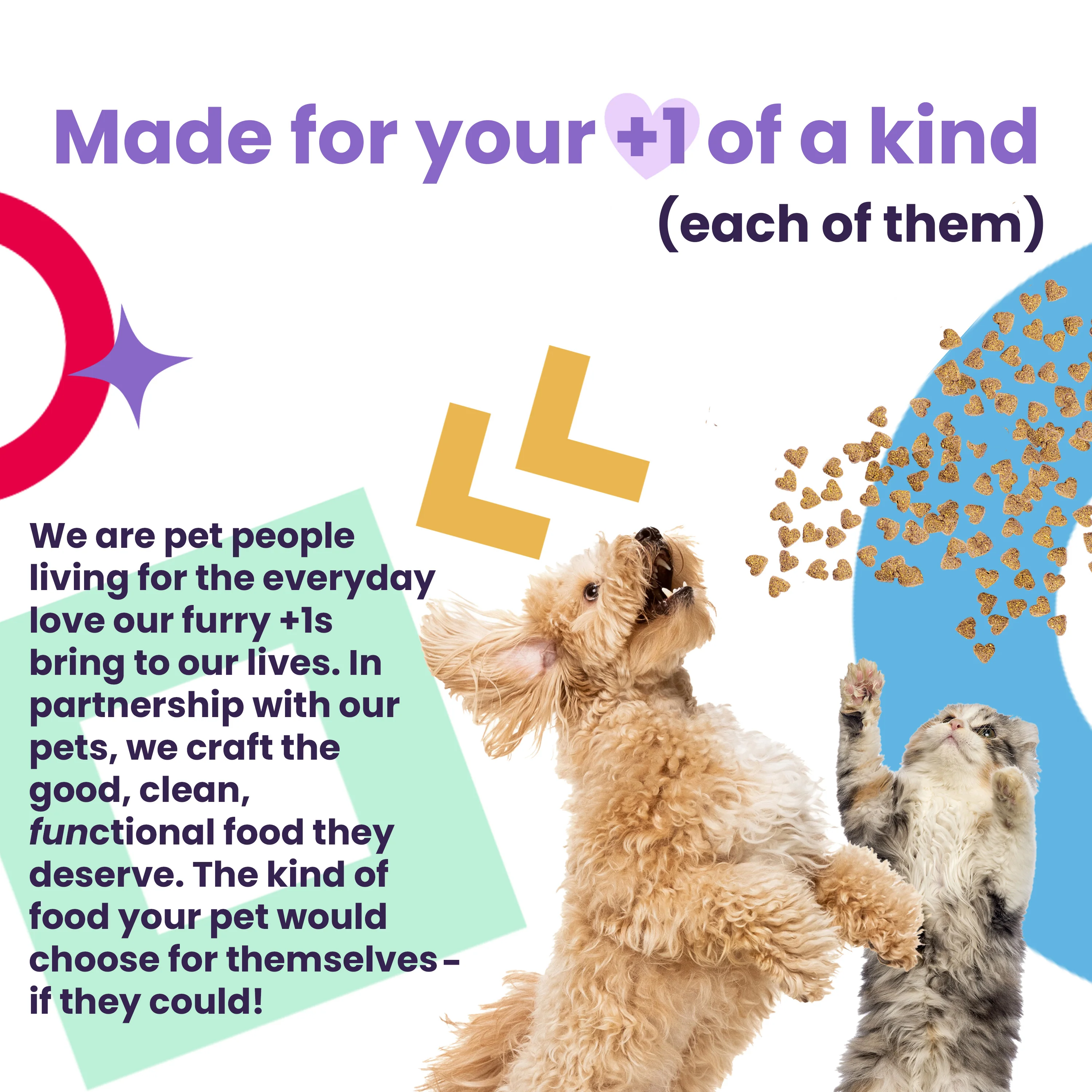 Naked Essentials Puppy Recipe Grain-Free Dry Puppy Food - Image 5