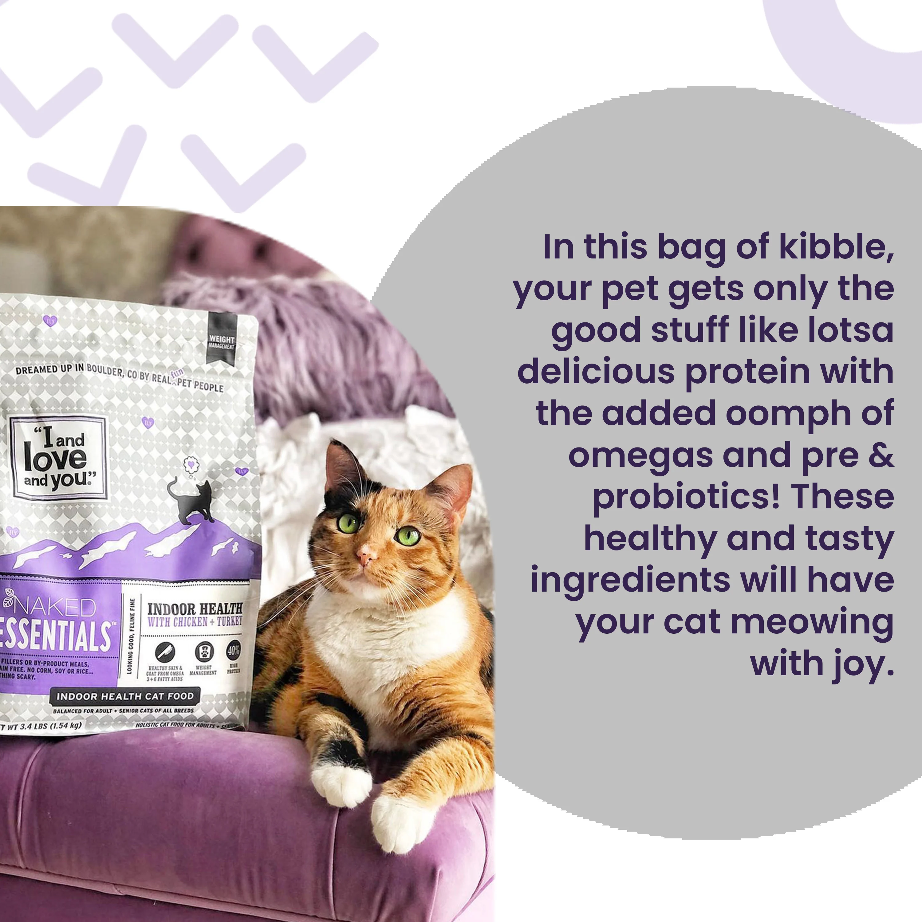 Naked Essentials Salmon & Trout Recipe Grain-Free Dry Cat Food - Image 4