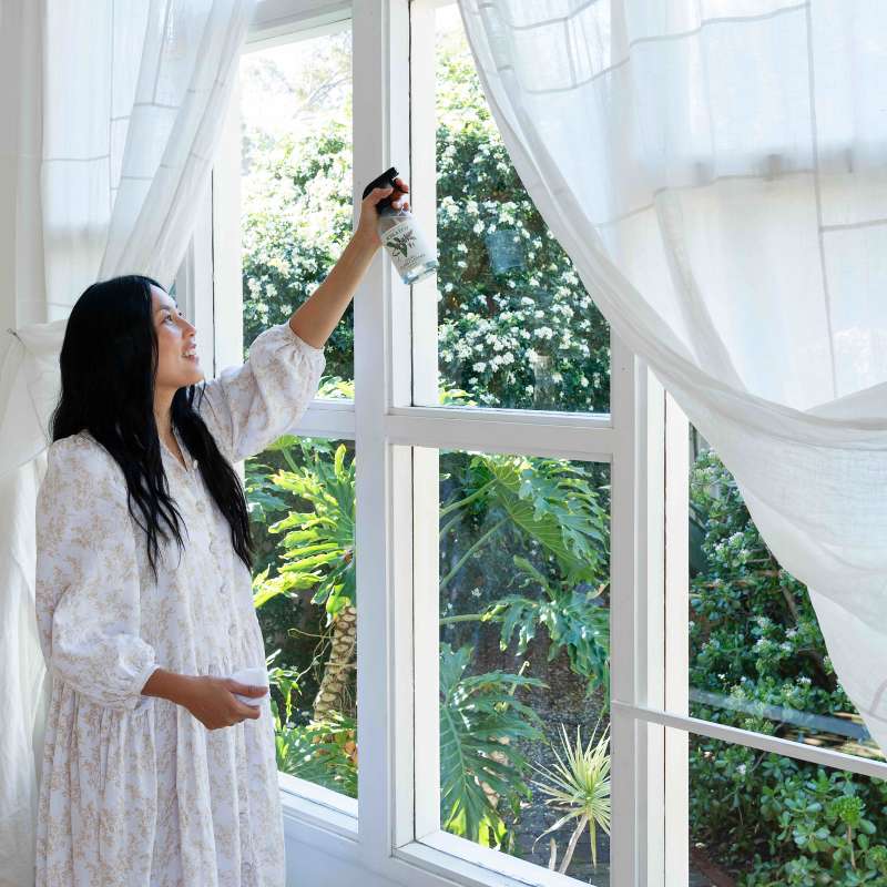 Glass Cleaner - Image 3