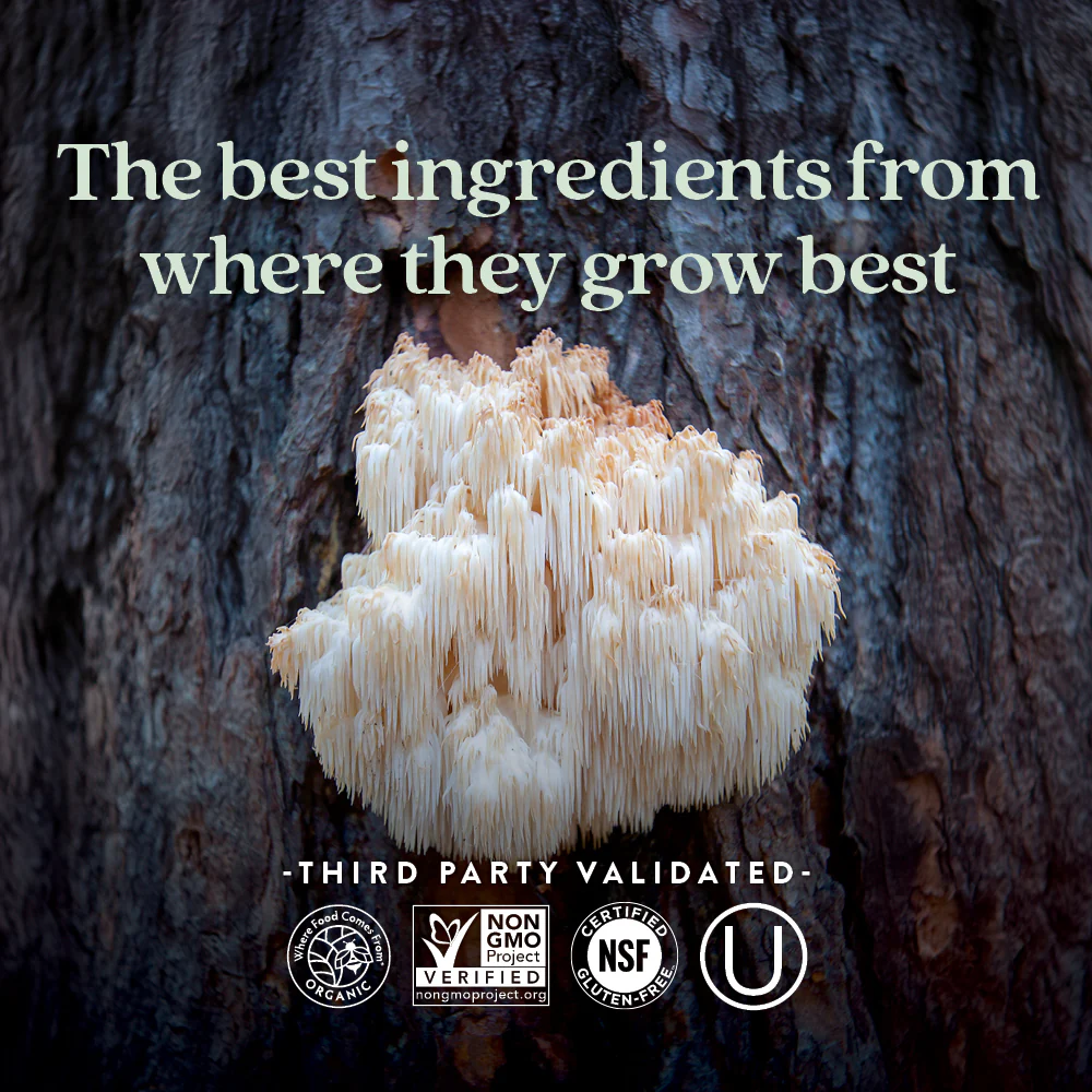 Mind Force™, Lion's Mane Mushroom Blend for Mental Clarity - Image 6