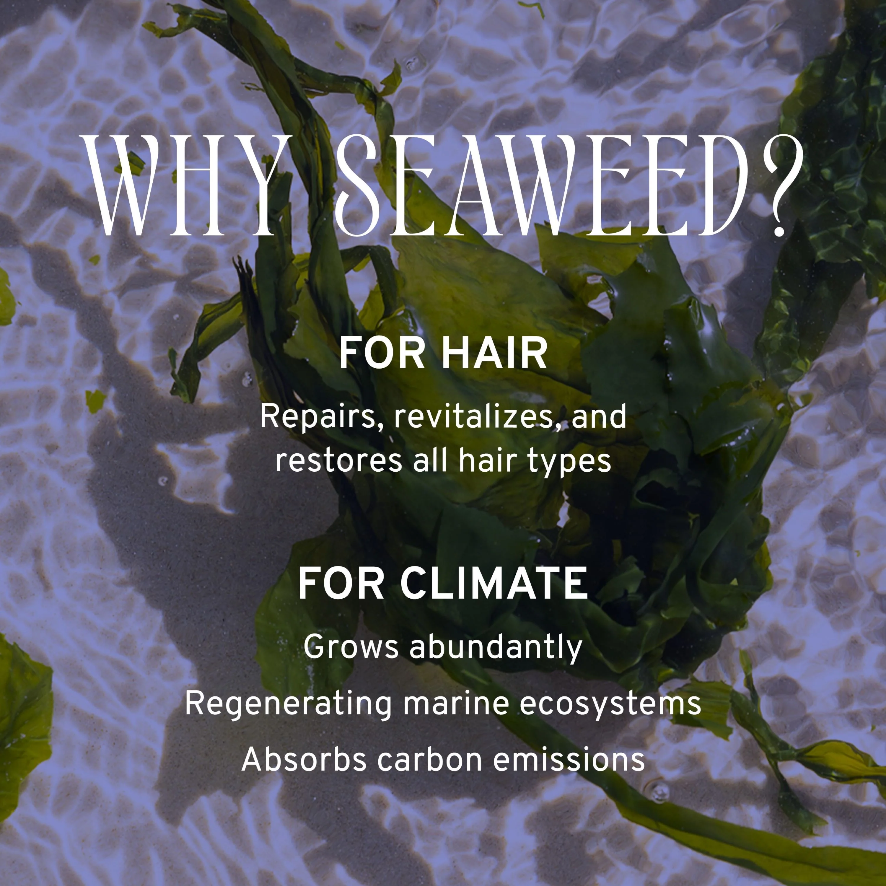 Nourish Hair & Scalp Serum - Image 6