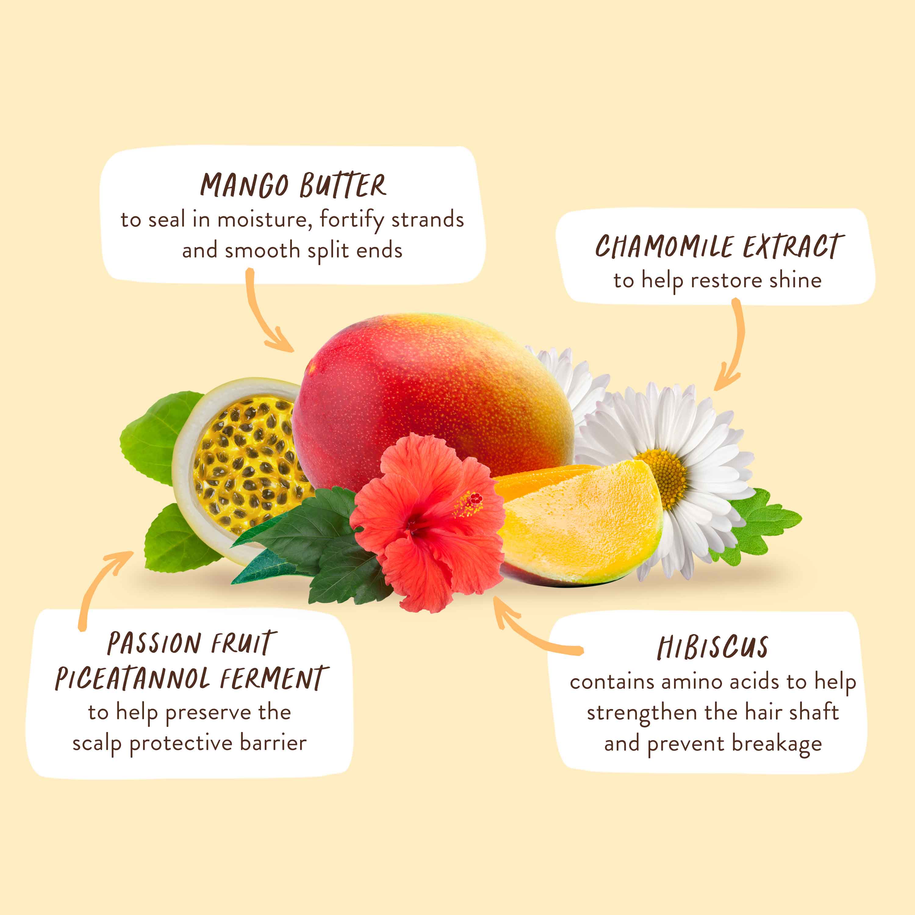 Nourishing Conditioner for Dry, Damaged Hair - Image 6