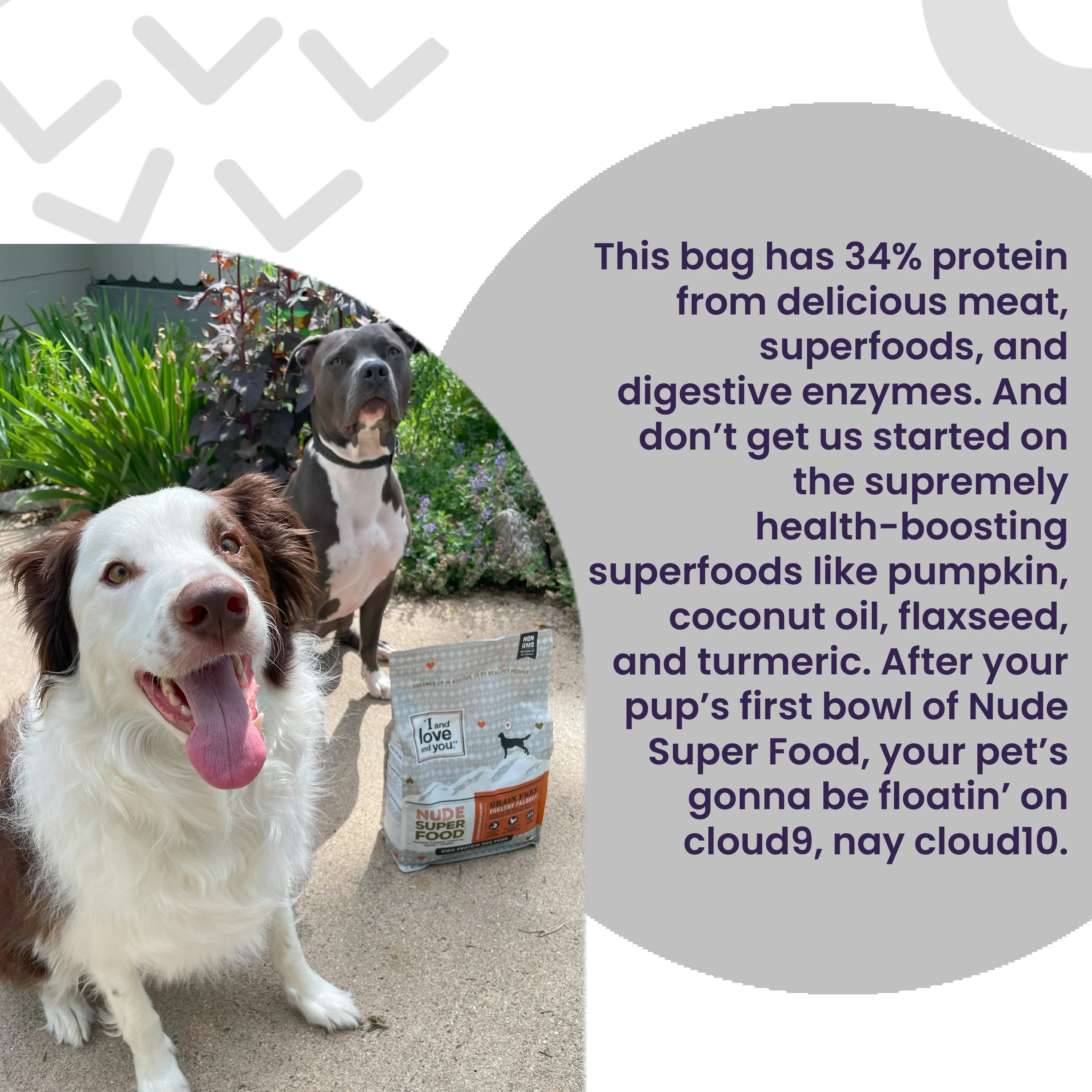 Nude Food Grain-Free Poultry Palooza Dry Dog Food - Image 3