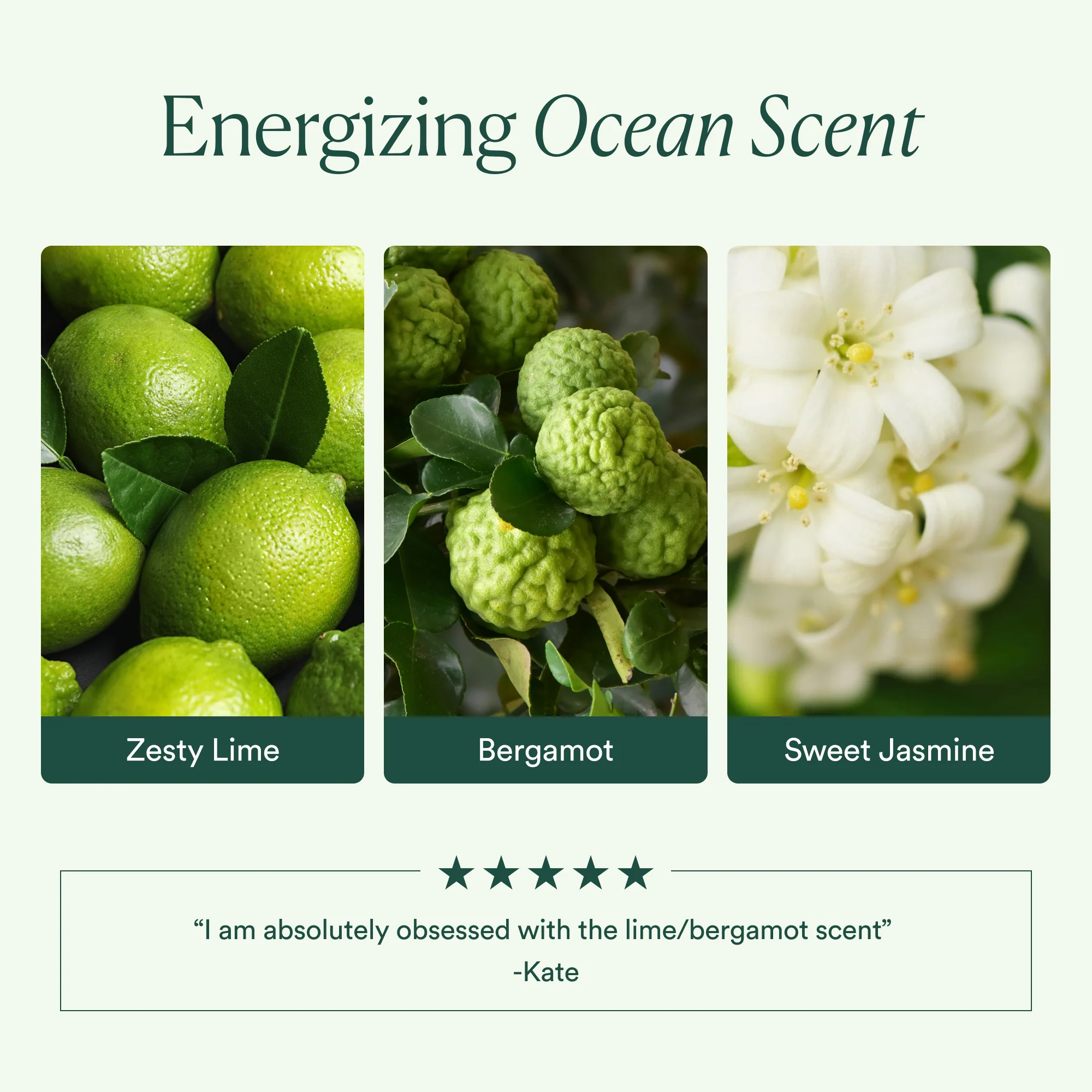 Ocean Cleanser - Image 6