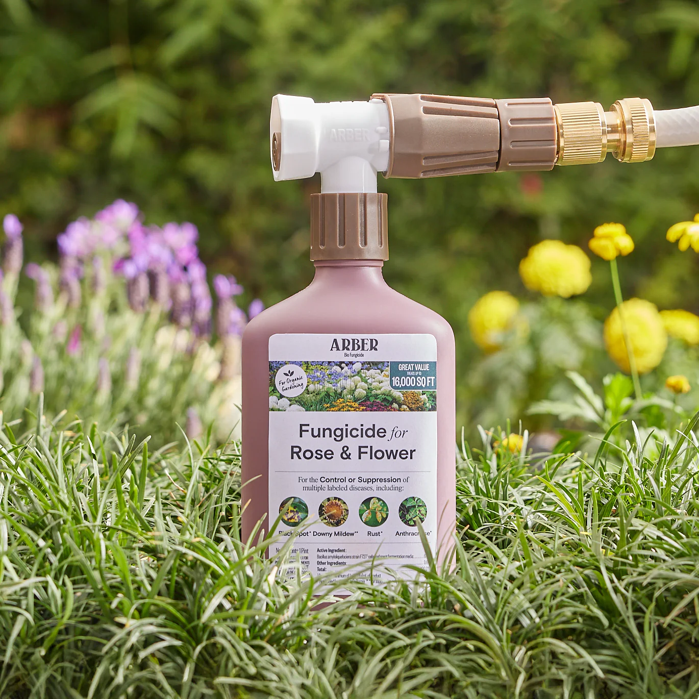 Organic Fungicide for Roses and Flowers, RTS - Image 4