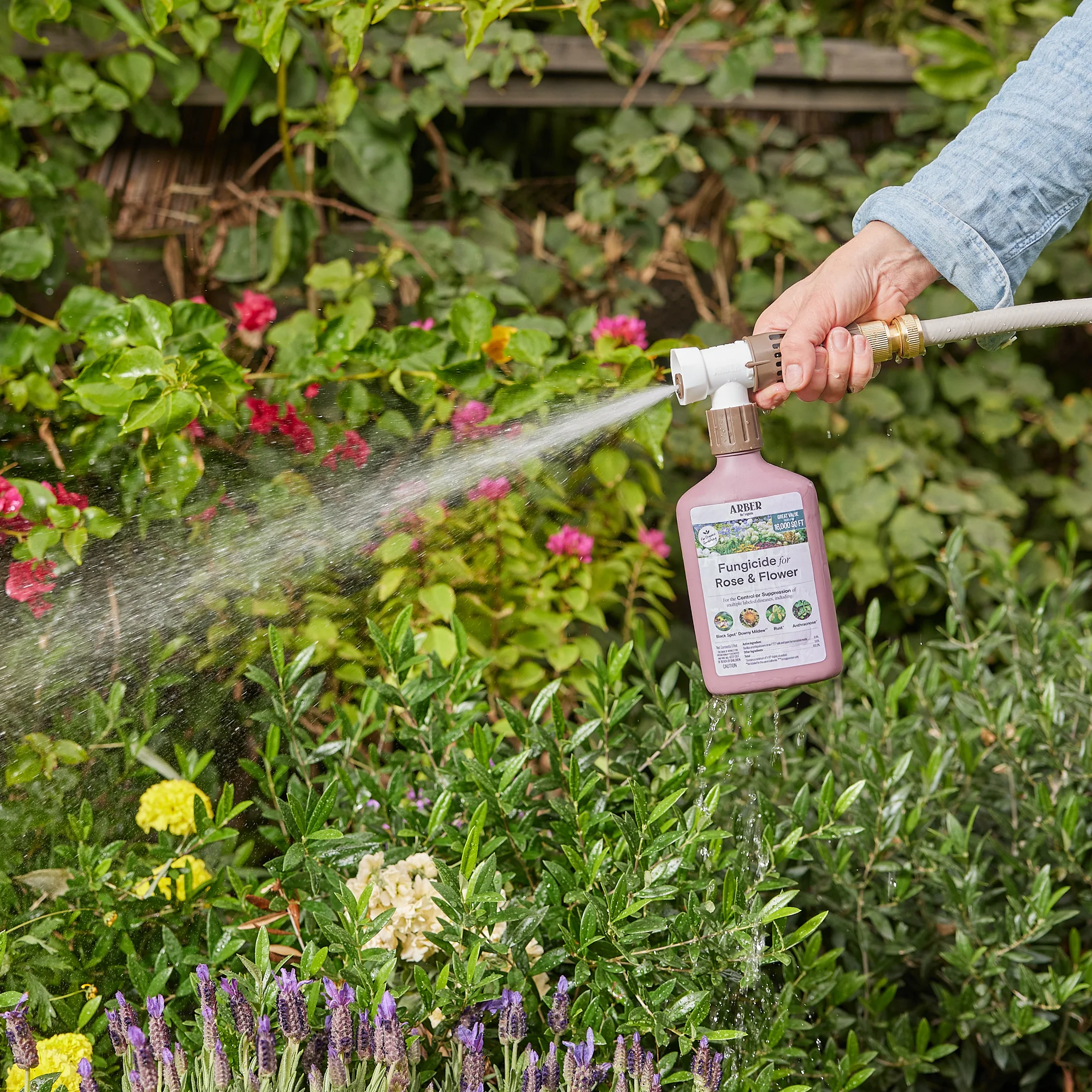 Organic Fungicide for Roses and Flowers, RTS - Image 5