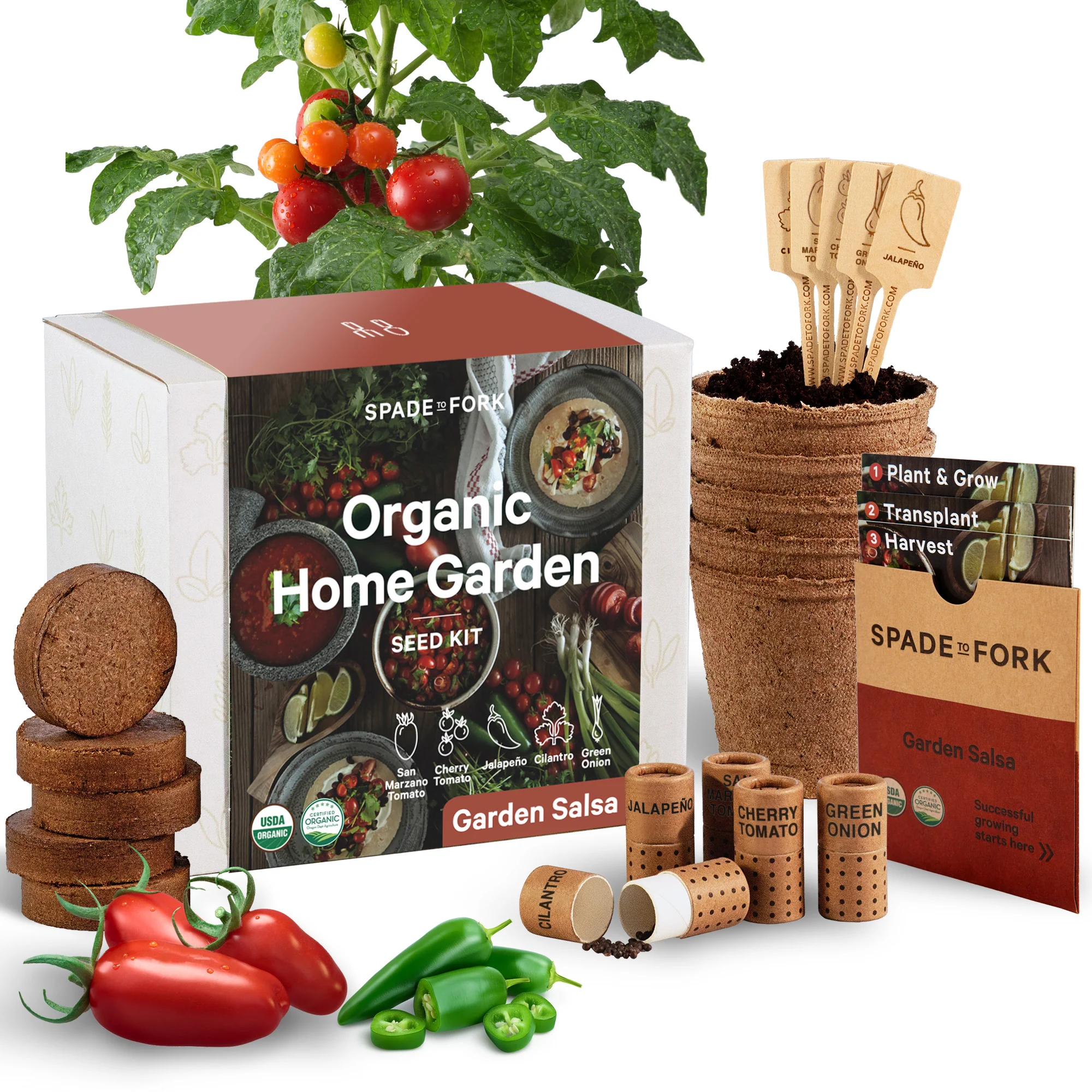 Organic Garden Salsa Kit - Image 4
