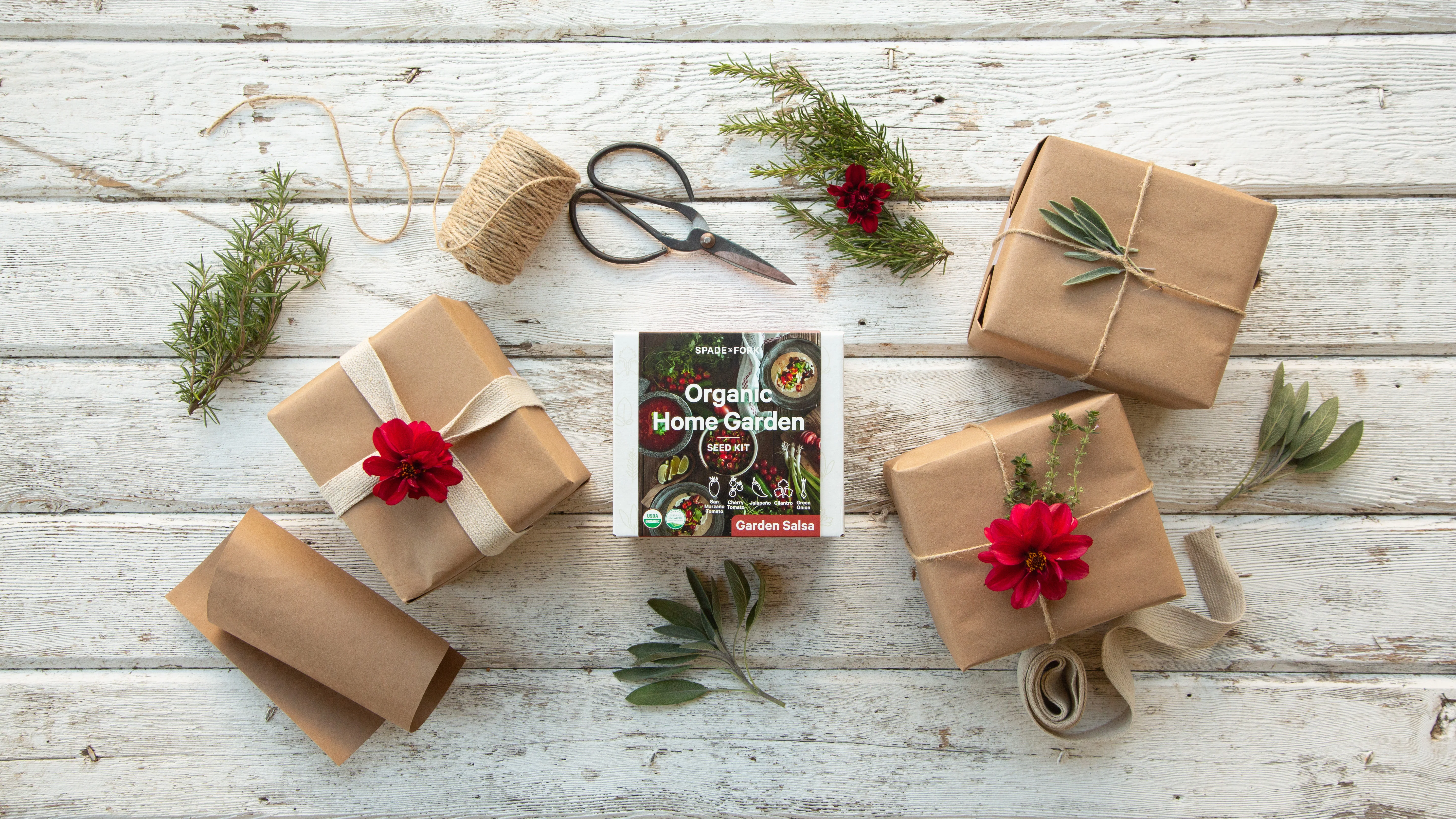 Organic Garden Salsa Kit - Image 6