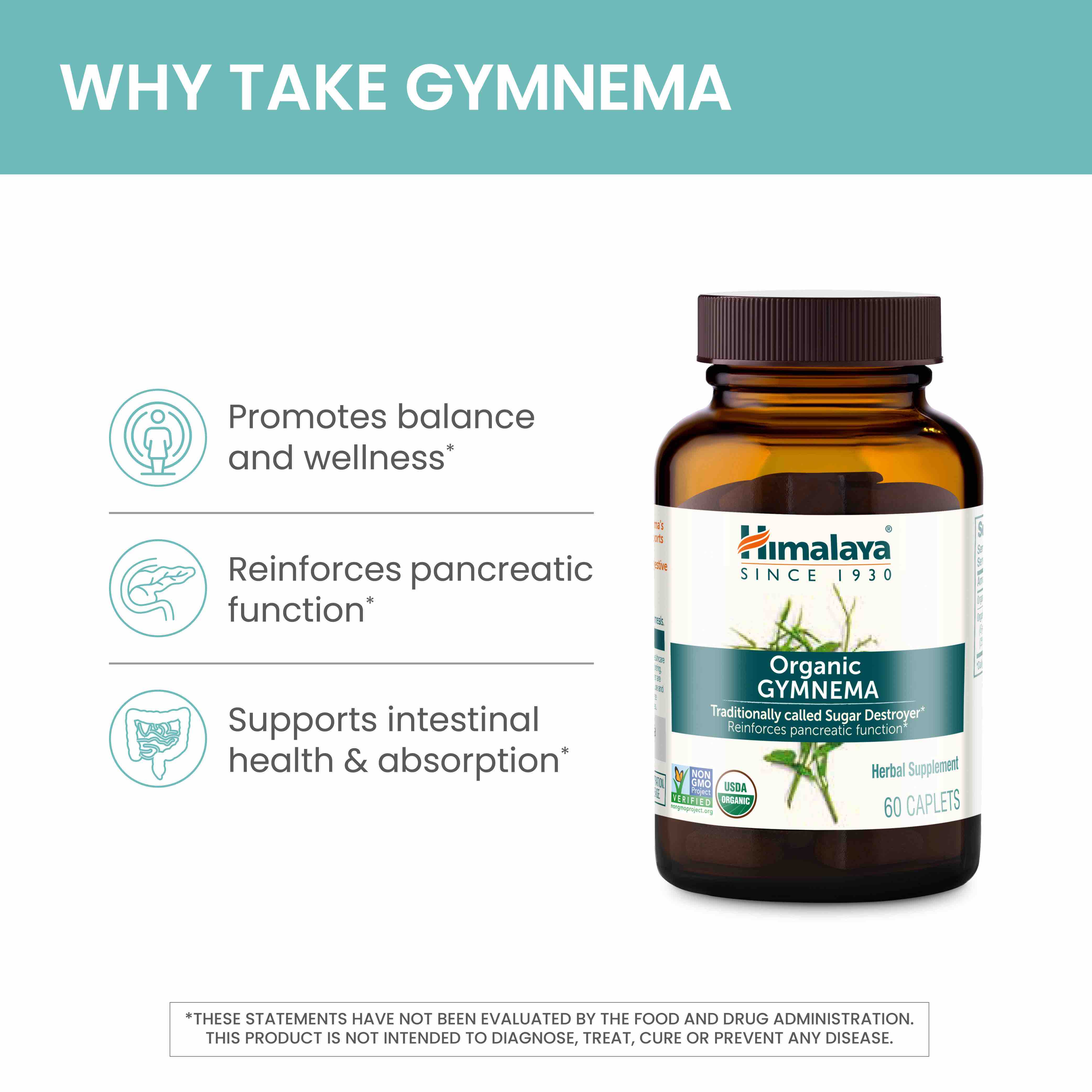 Organic Gymnema - Image 4