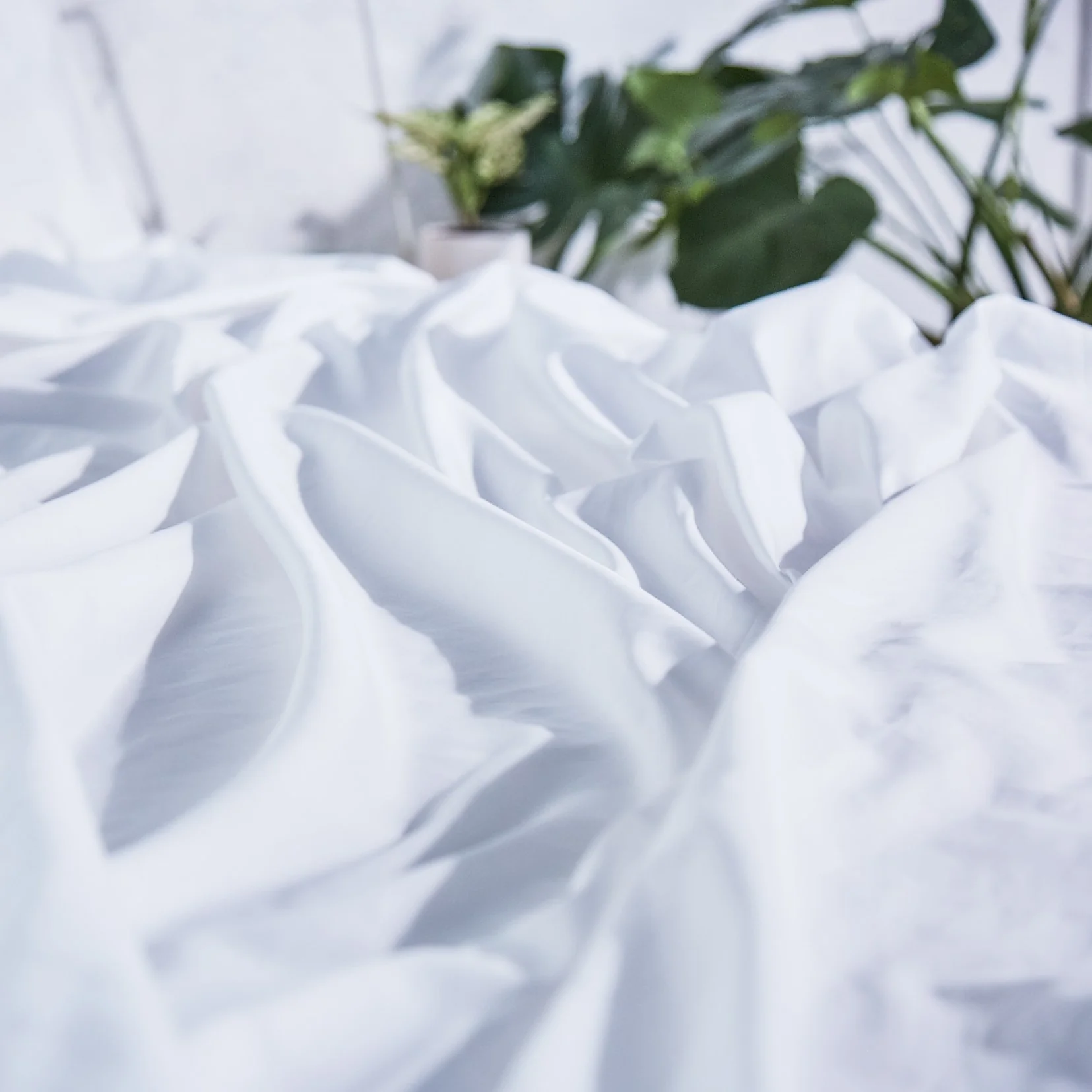 Organic Indian Cotton 400 TC Sheet Set - Image 15