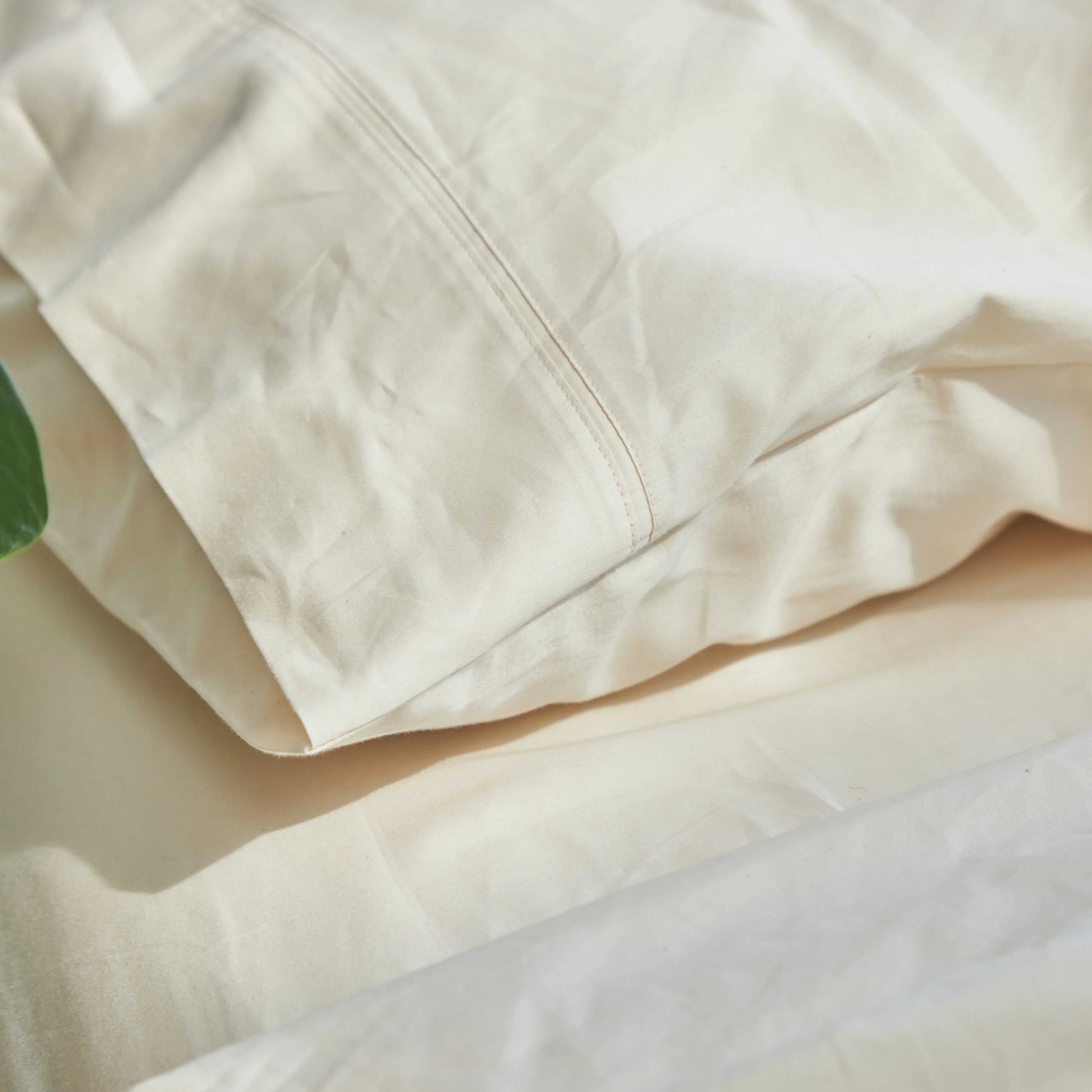 Organic Indian Cotton 400 TC Sheet Set - Image 2