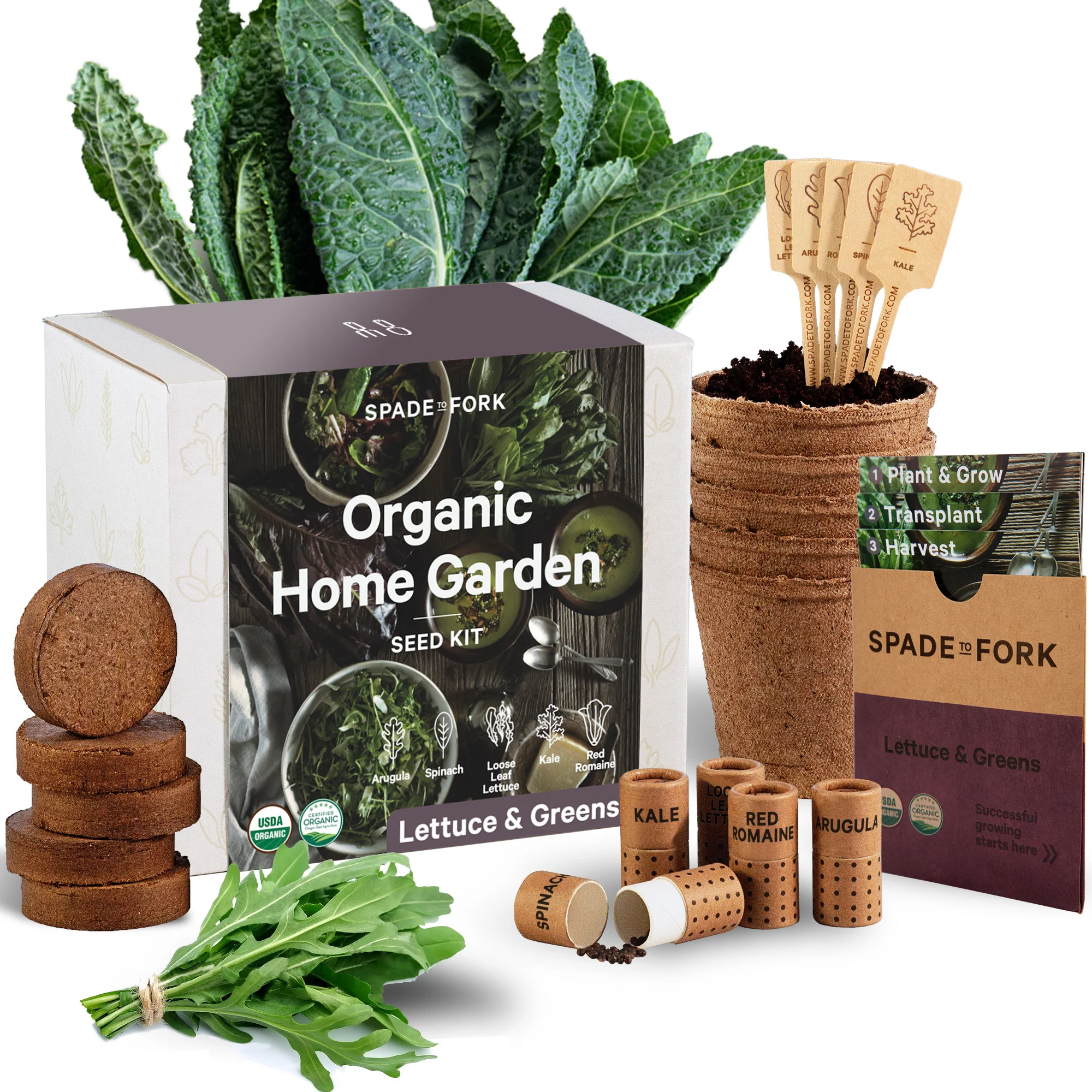 Organic Lettuce & Greens Kit - Includes 100% USDA Organic Certified and Non-GMO Seeds - Image 4