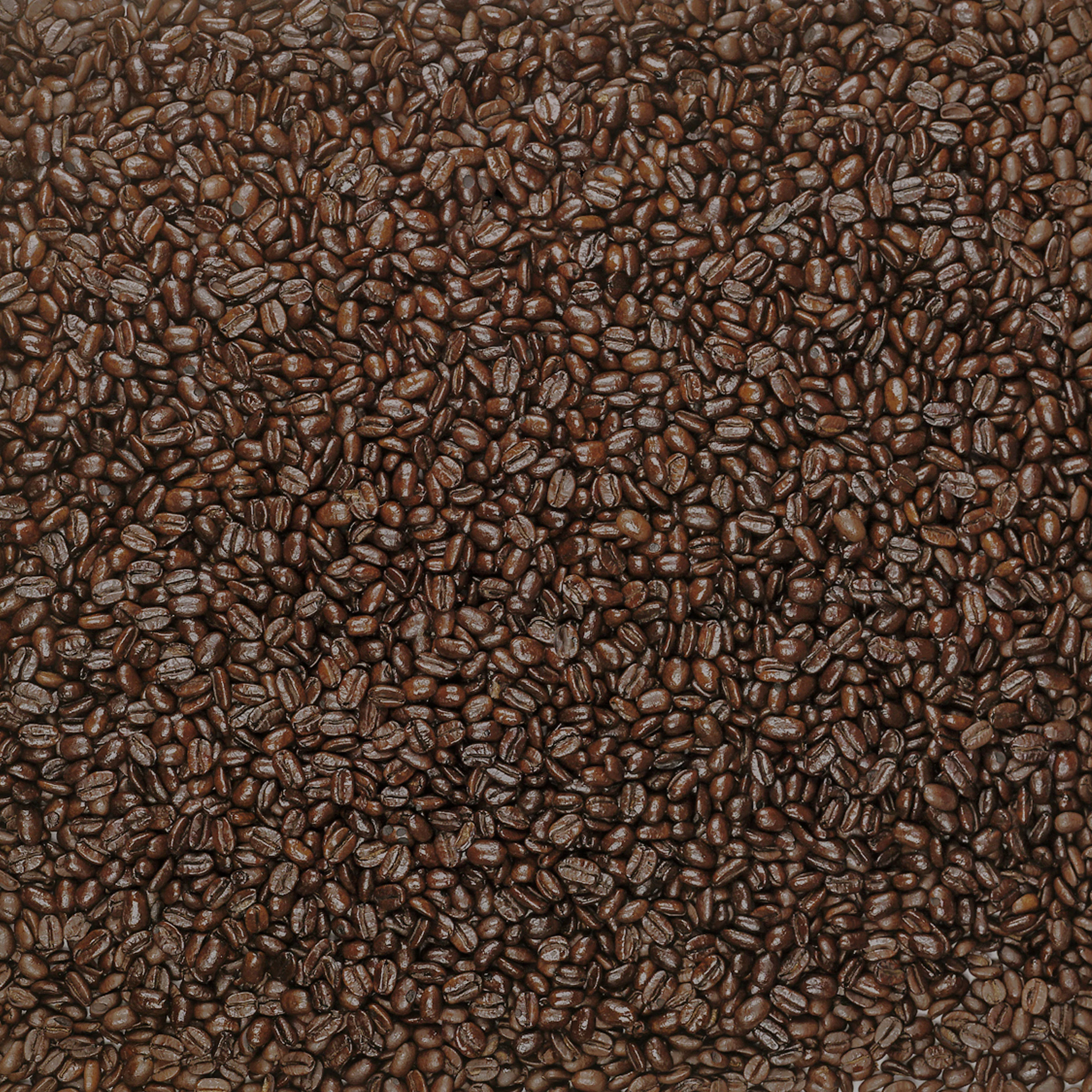 Organic Mendocino Vienna Whole Bean Coffee - Image 5