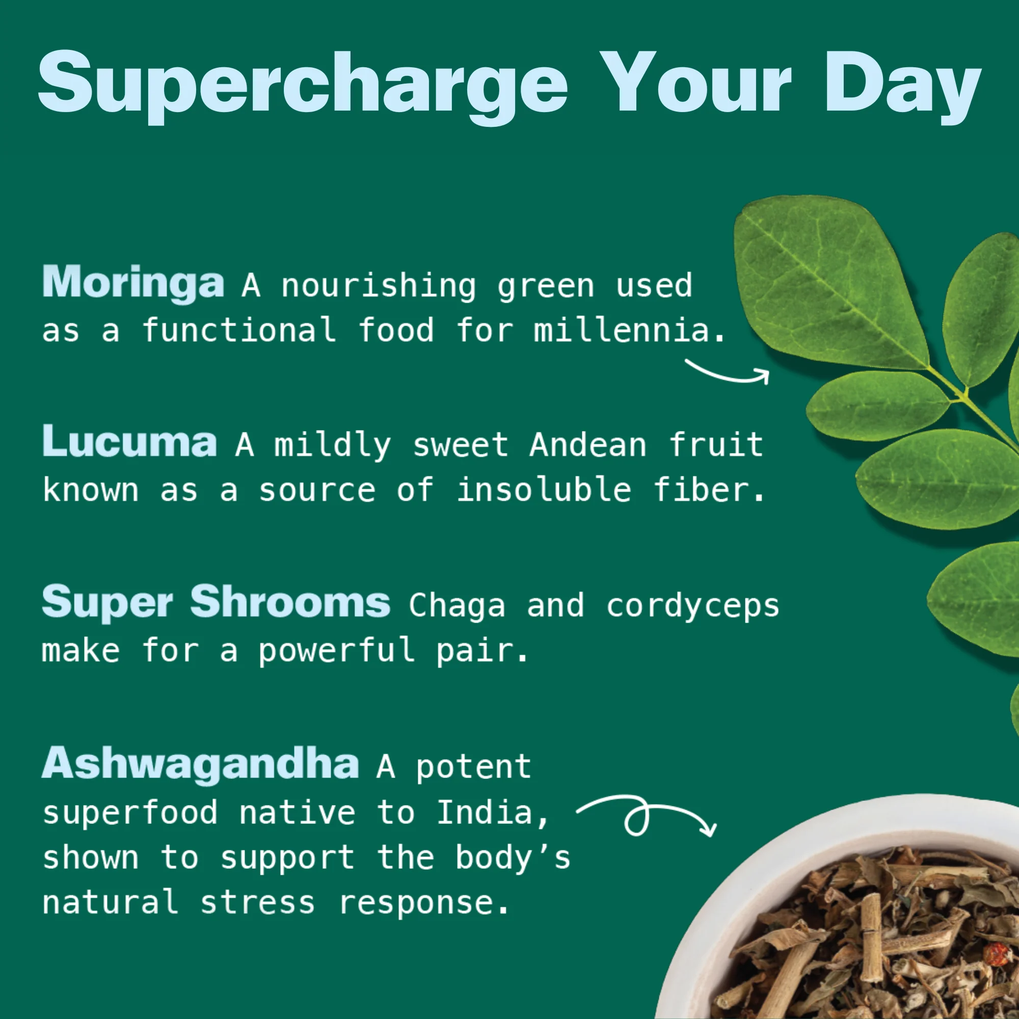 Organic Moringa Green Smoothie + Protein - Image 8