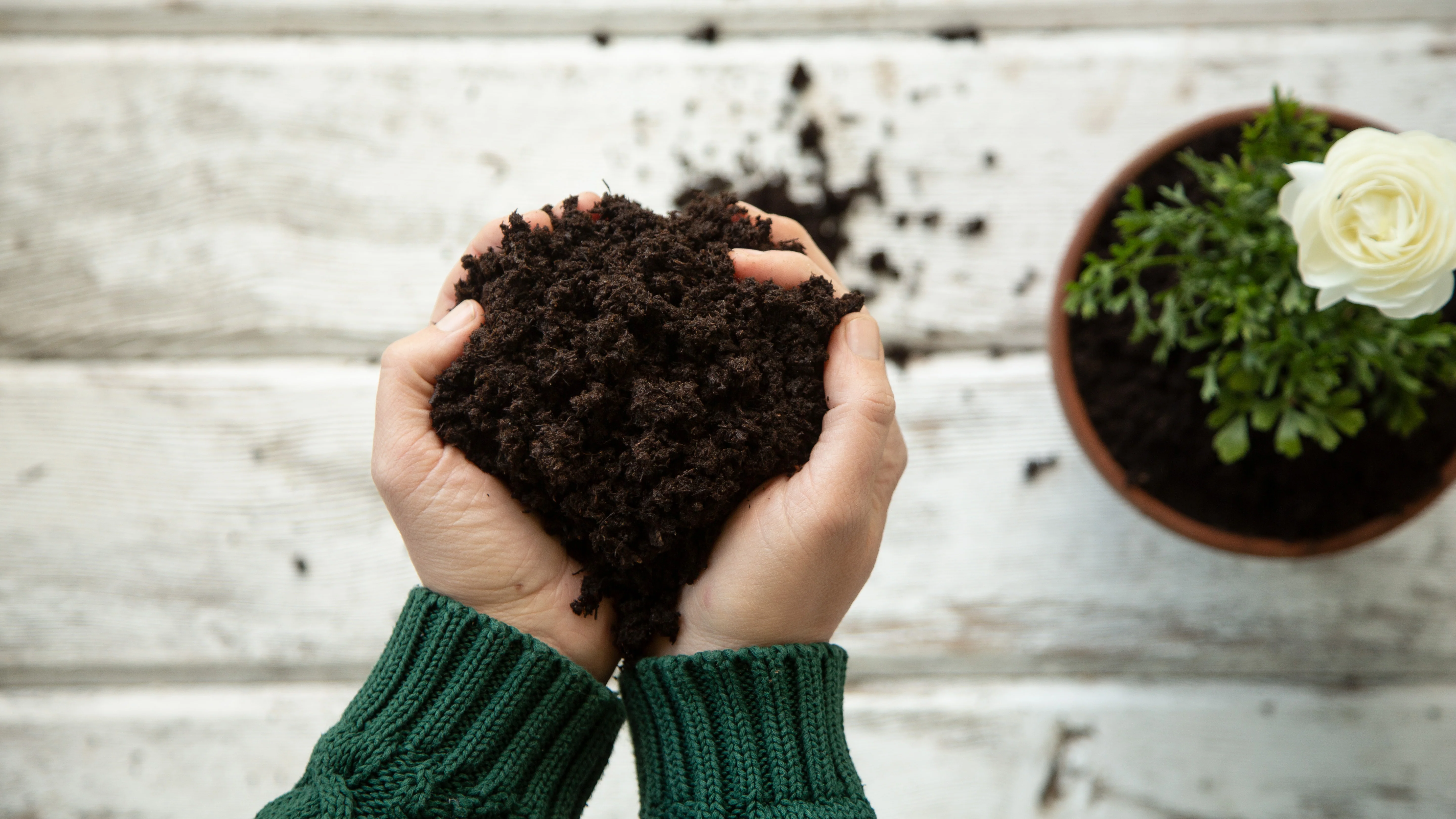 Organic Indoor & Outdoor Potting Soil Multi-Pack - Image 6