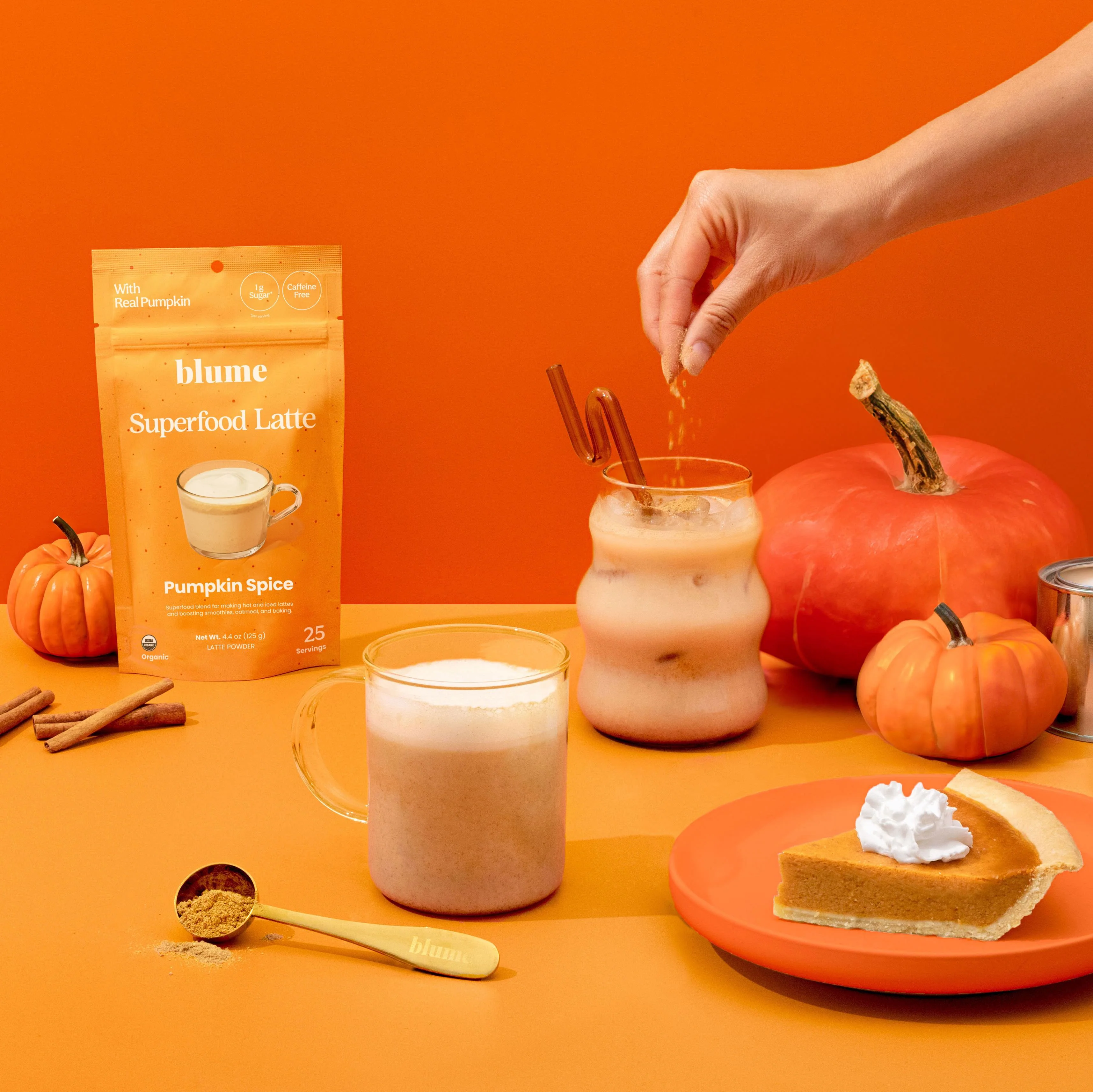 Organic Pumpkin Spice Latte Powder - Image 7
