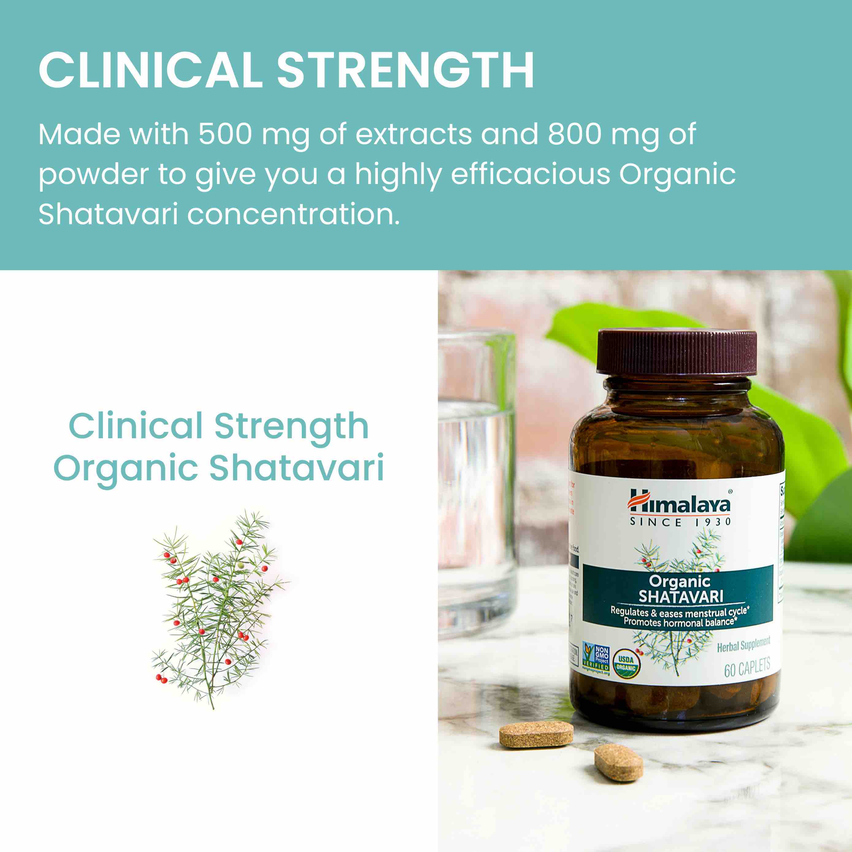 Organic Shatavari - Image 6