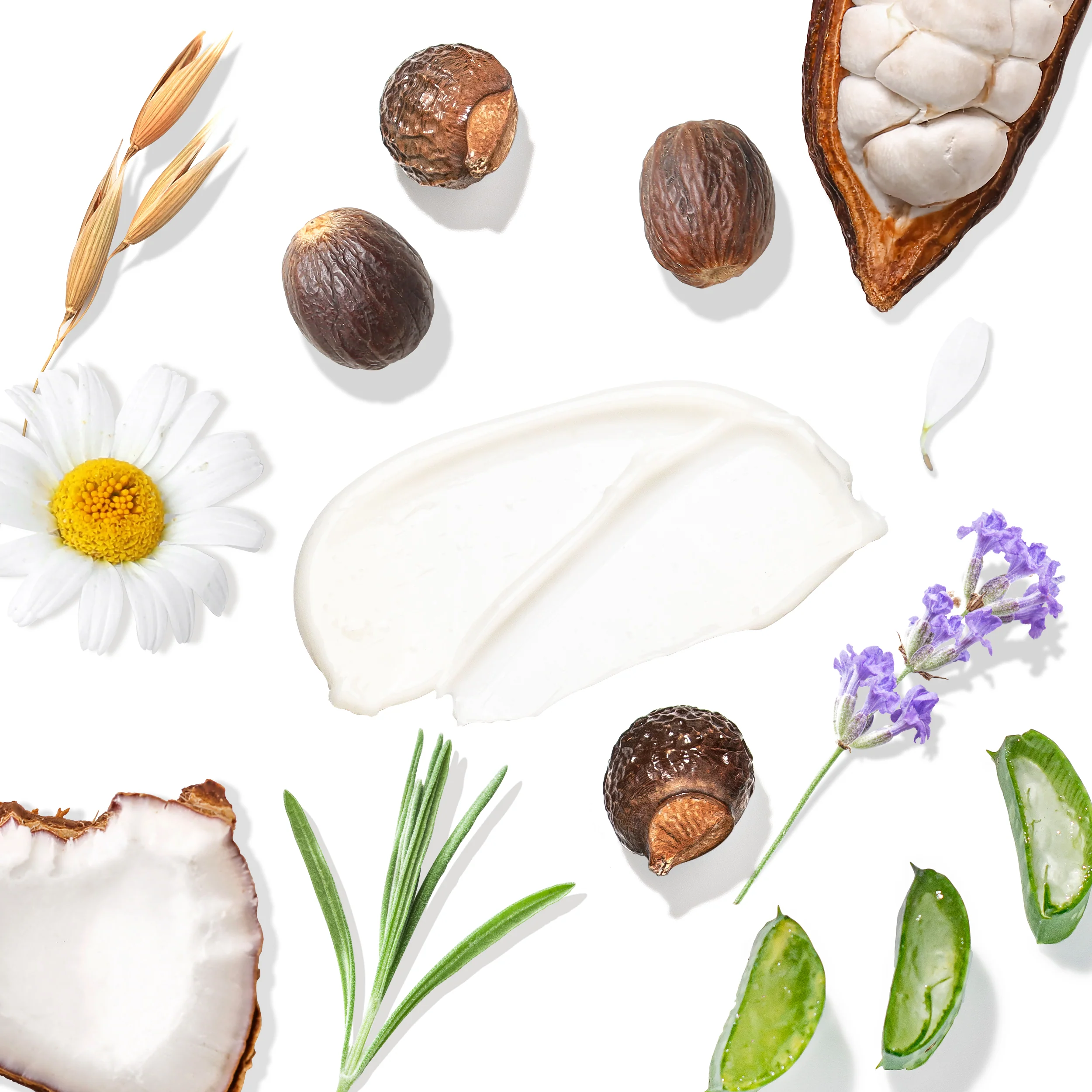 Moisturizing Shea & Cocoa Butter Lotion for Dry Skin - Image 4