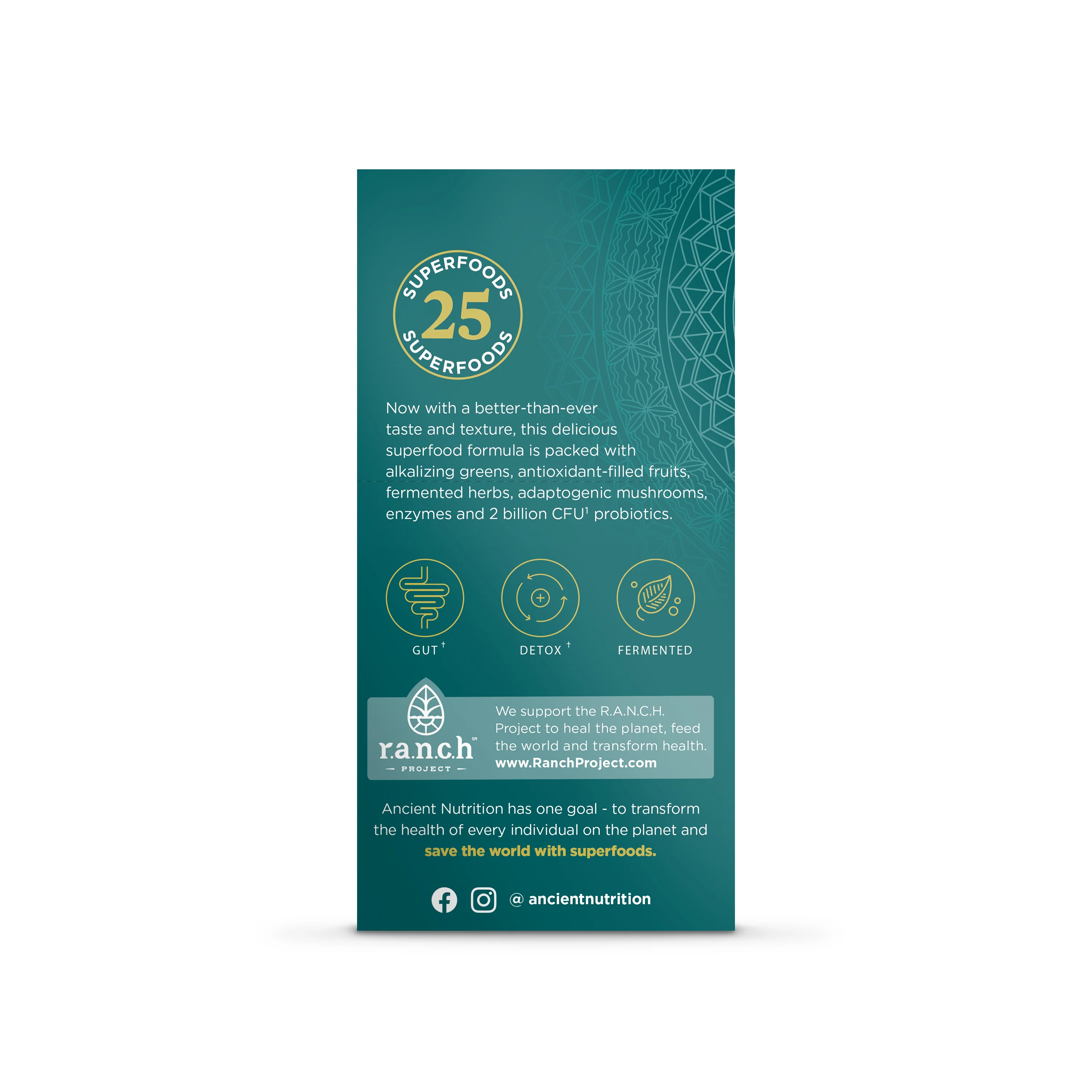 Organic Super Greens Powder Packets - Image 5