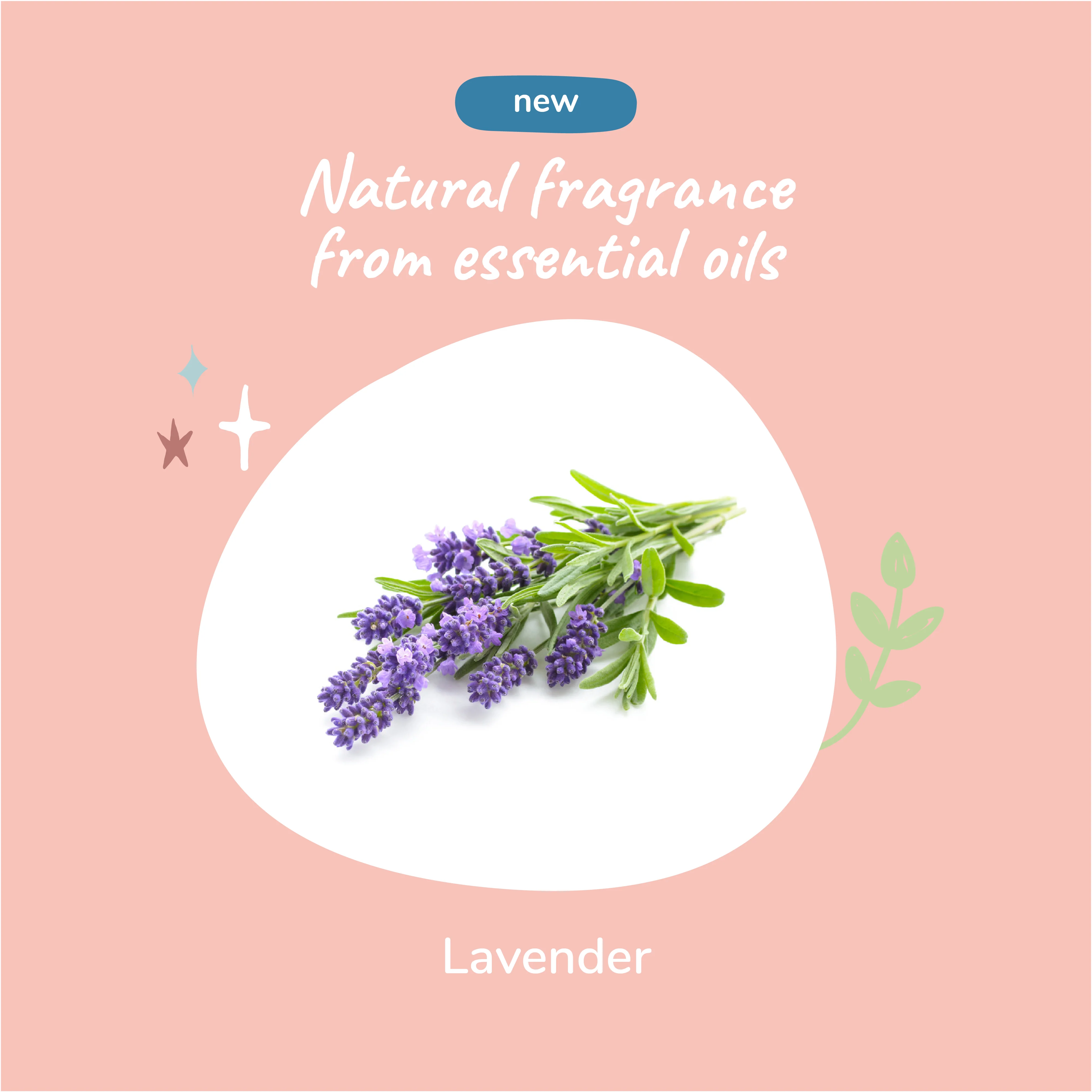 Calming Lavender Waterless Bath for Cats & Dogs - Image 5